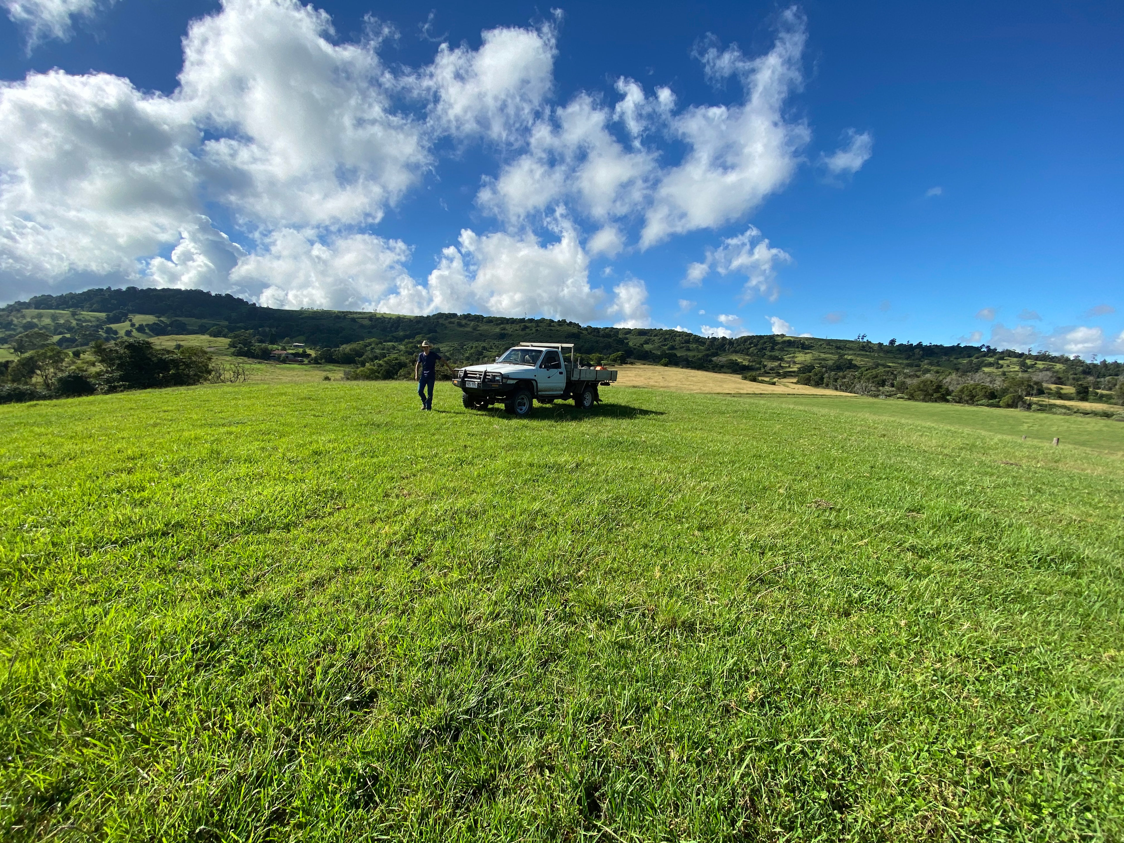 Diamond Ridge Grazing