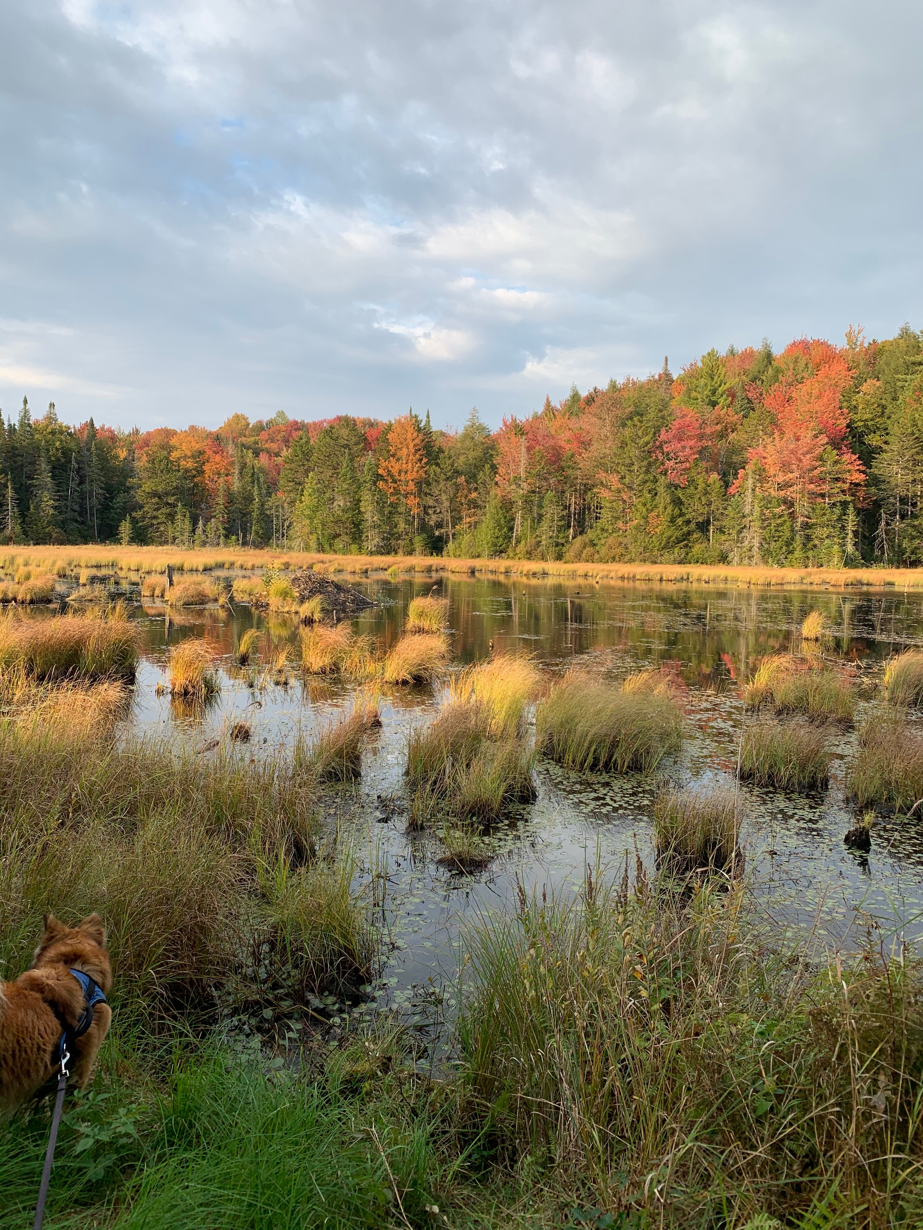 Bumpa's Camp - experience true VT!
