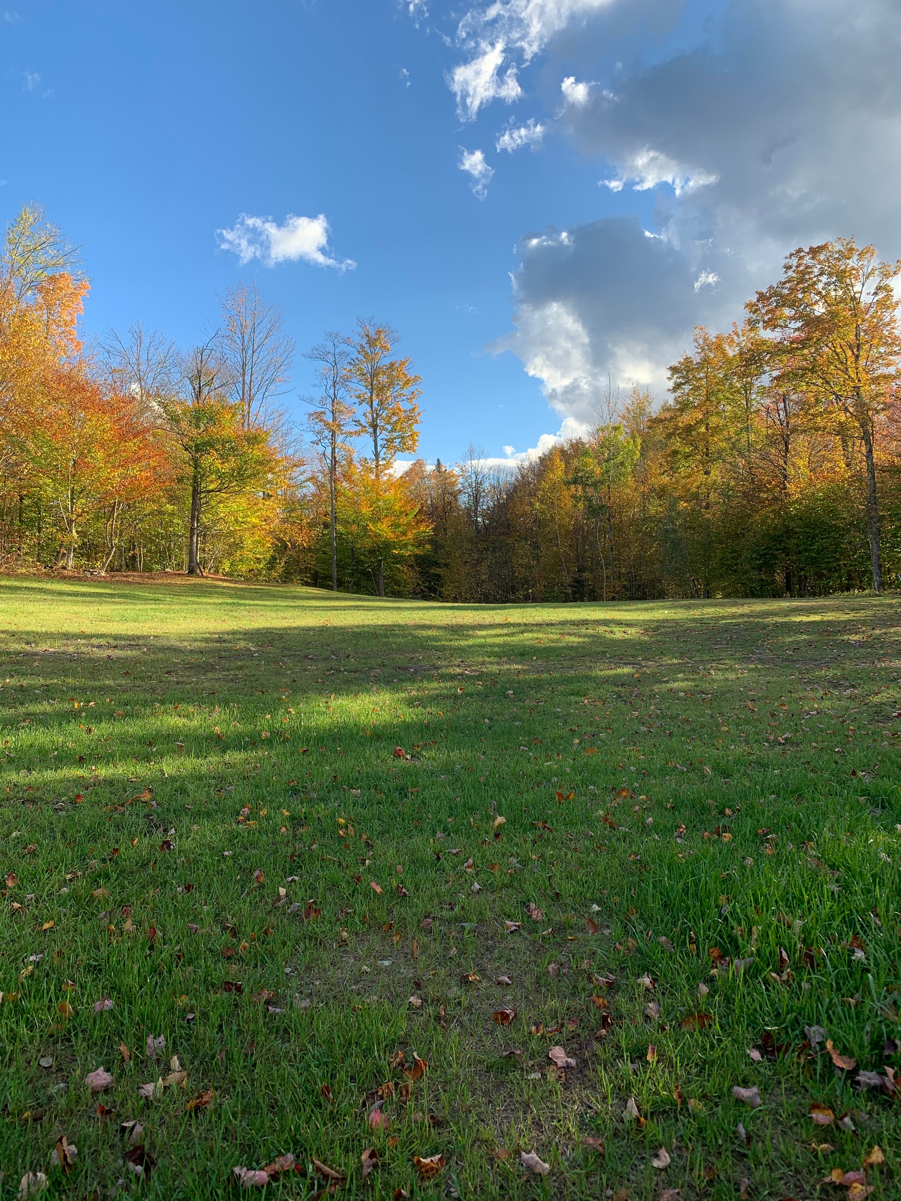 Bumpa's Camp - experience true VT!