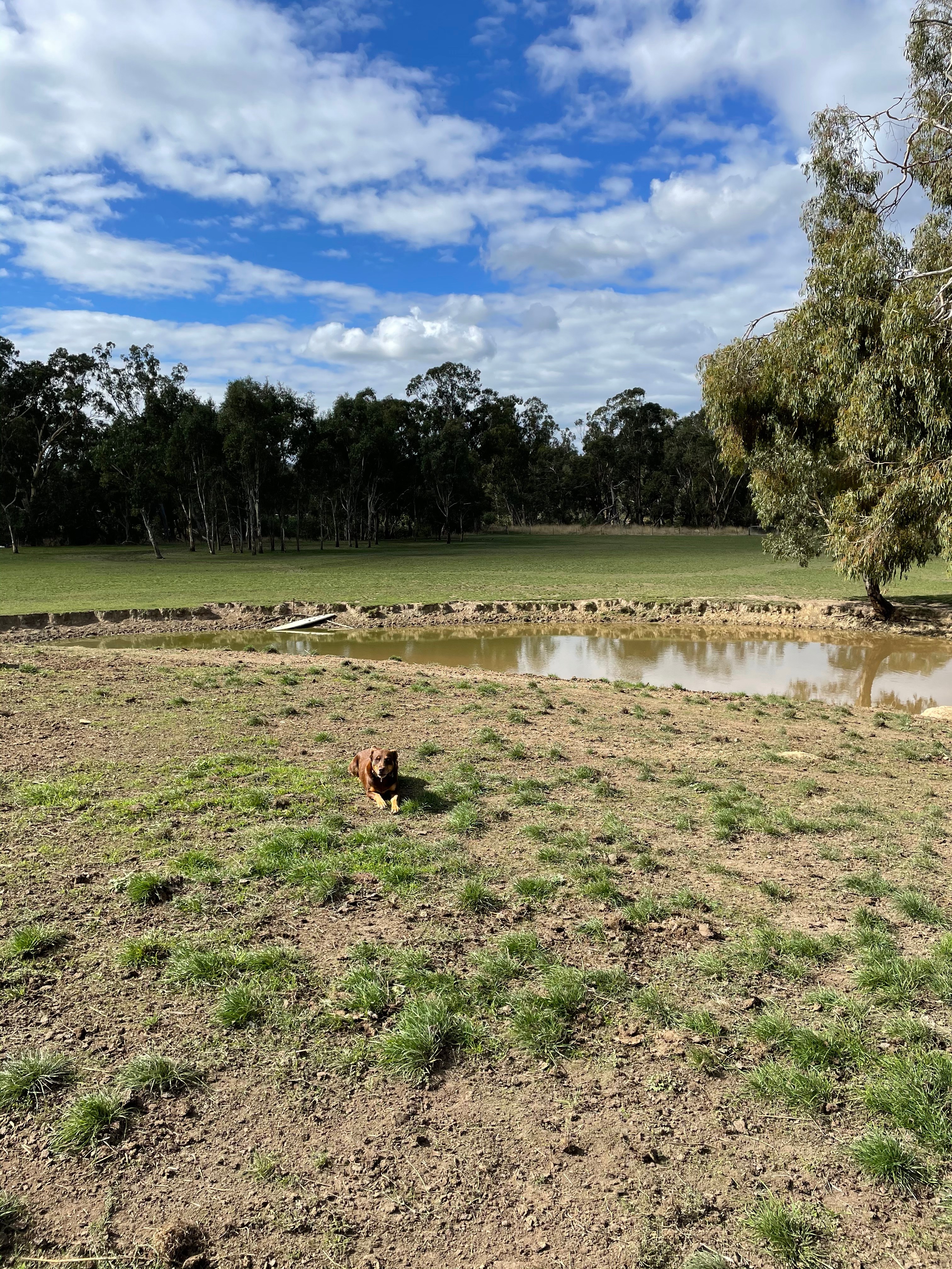 Abaminga Creekfront Flats