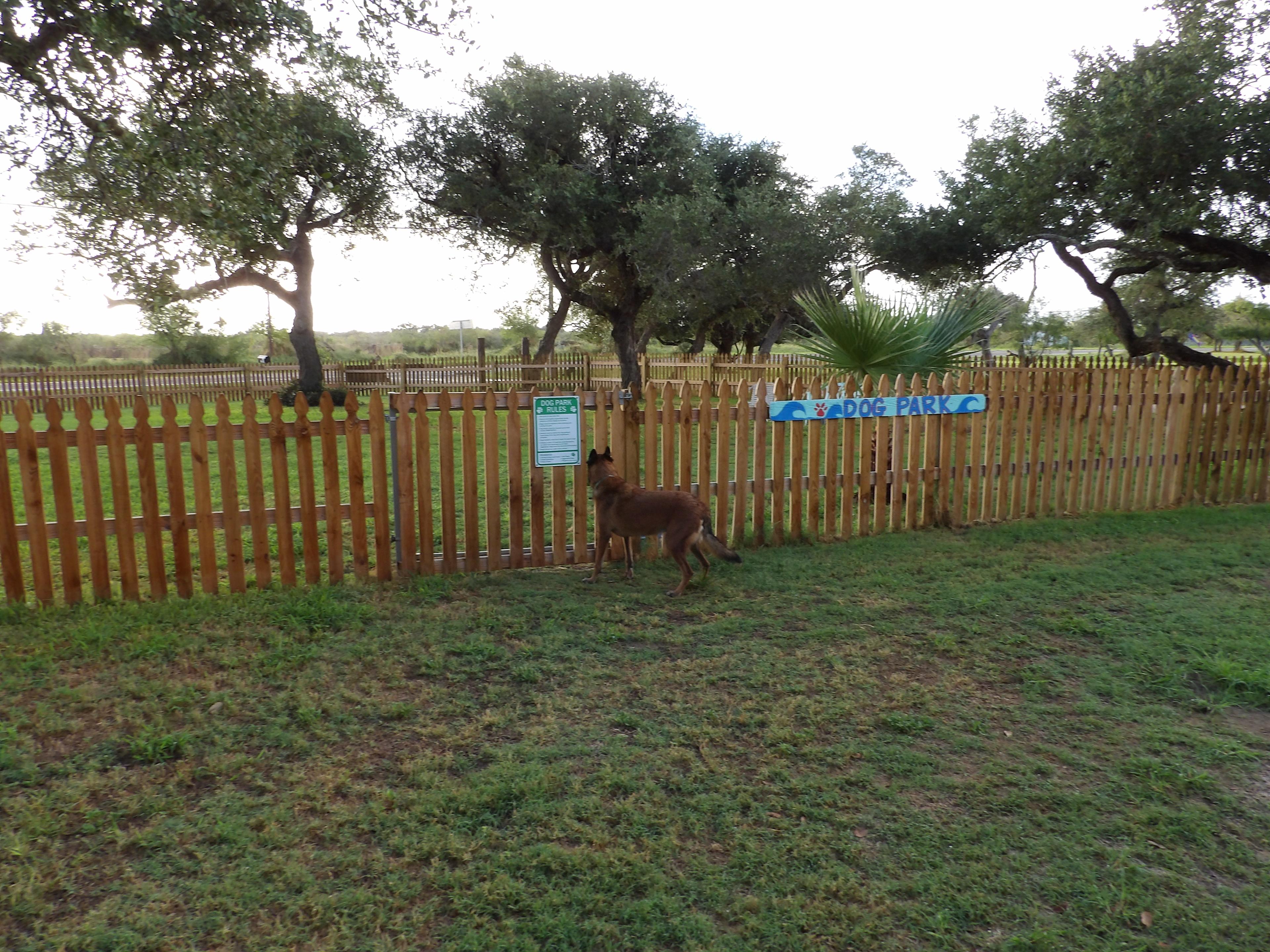 Dog Park
