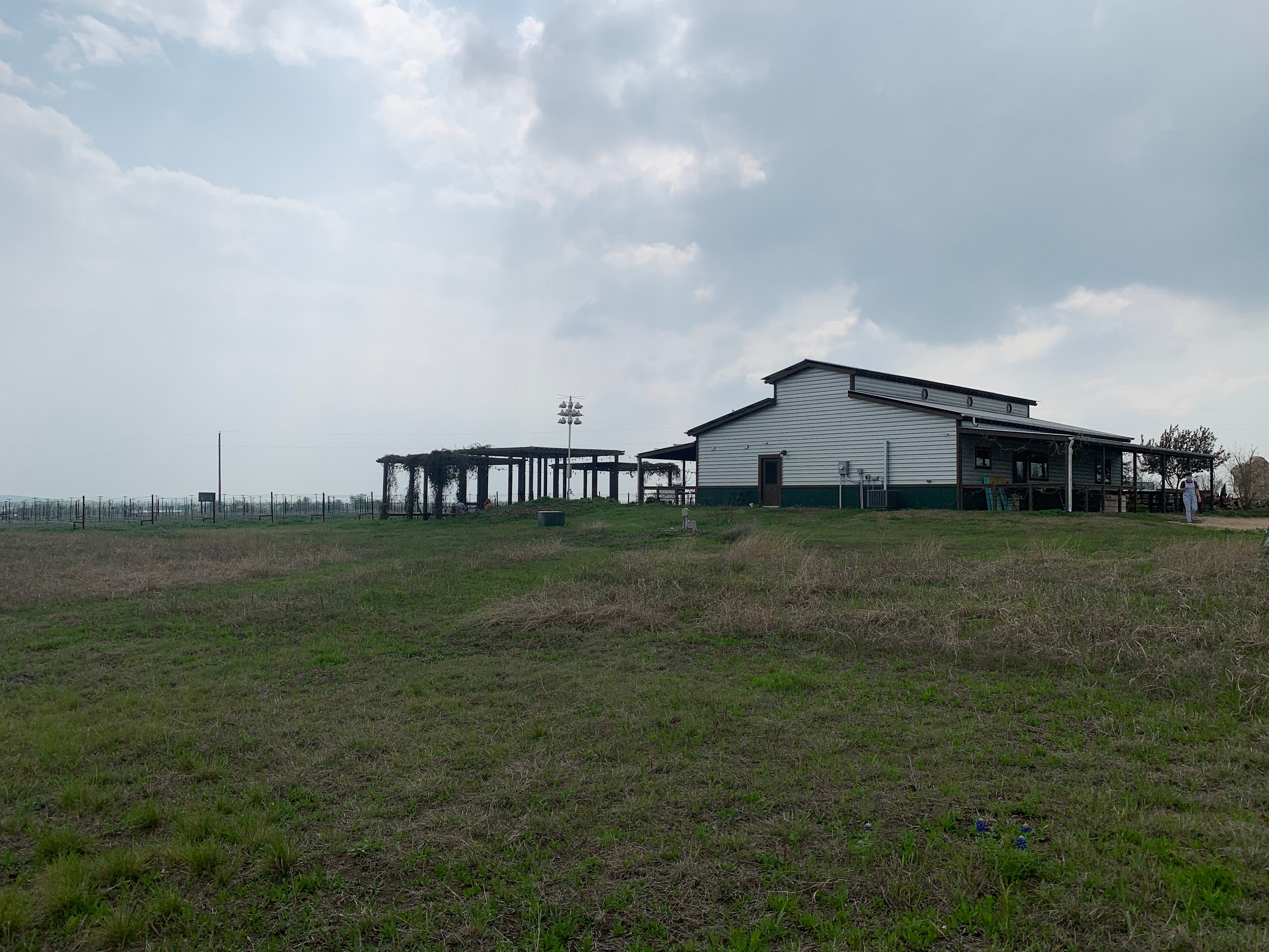 Walker Honey Farm and Dancing Bee Winery Vineyard