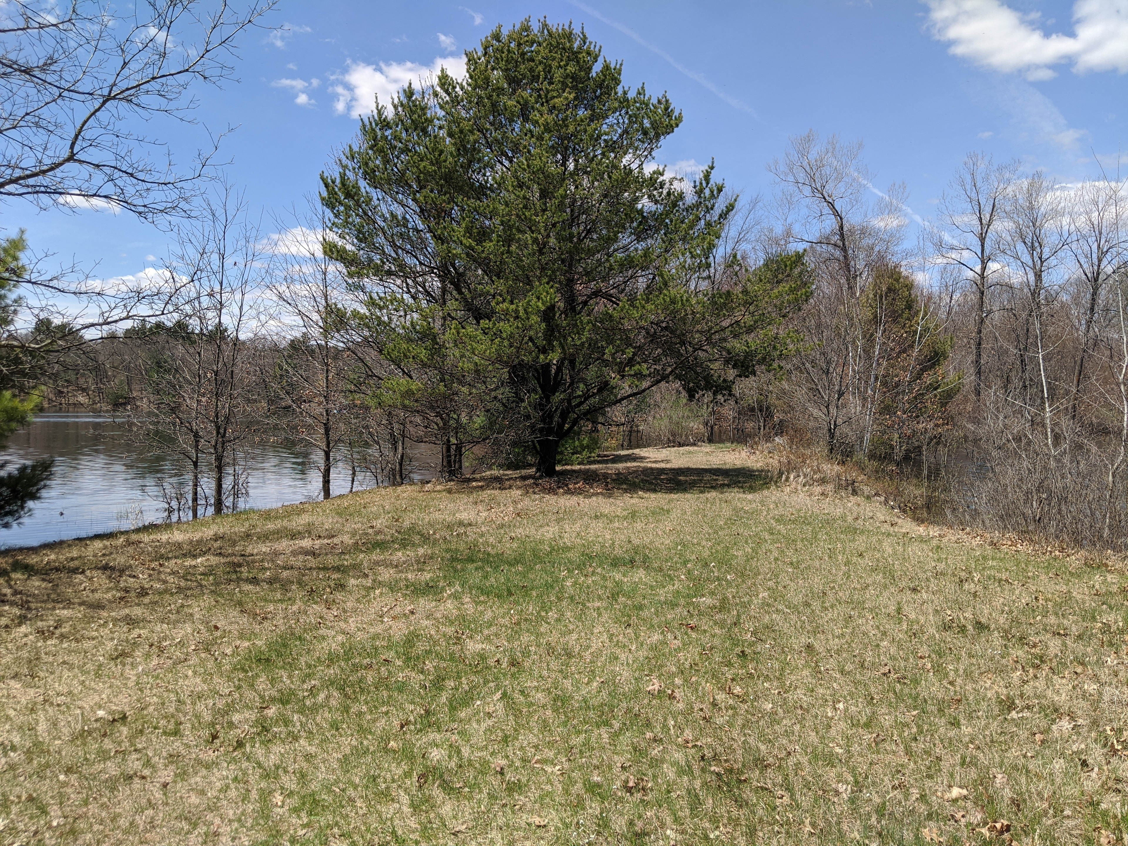 The summer camp experience