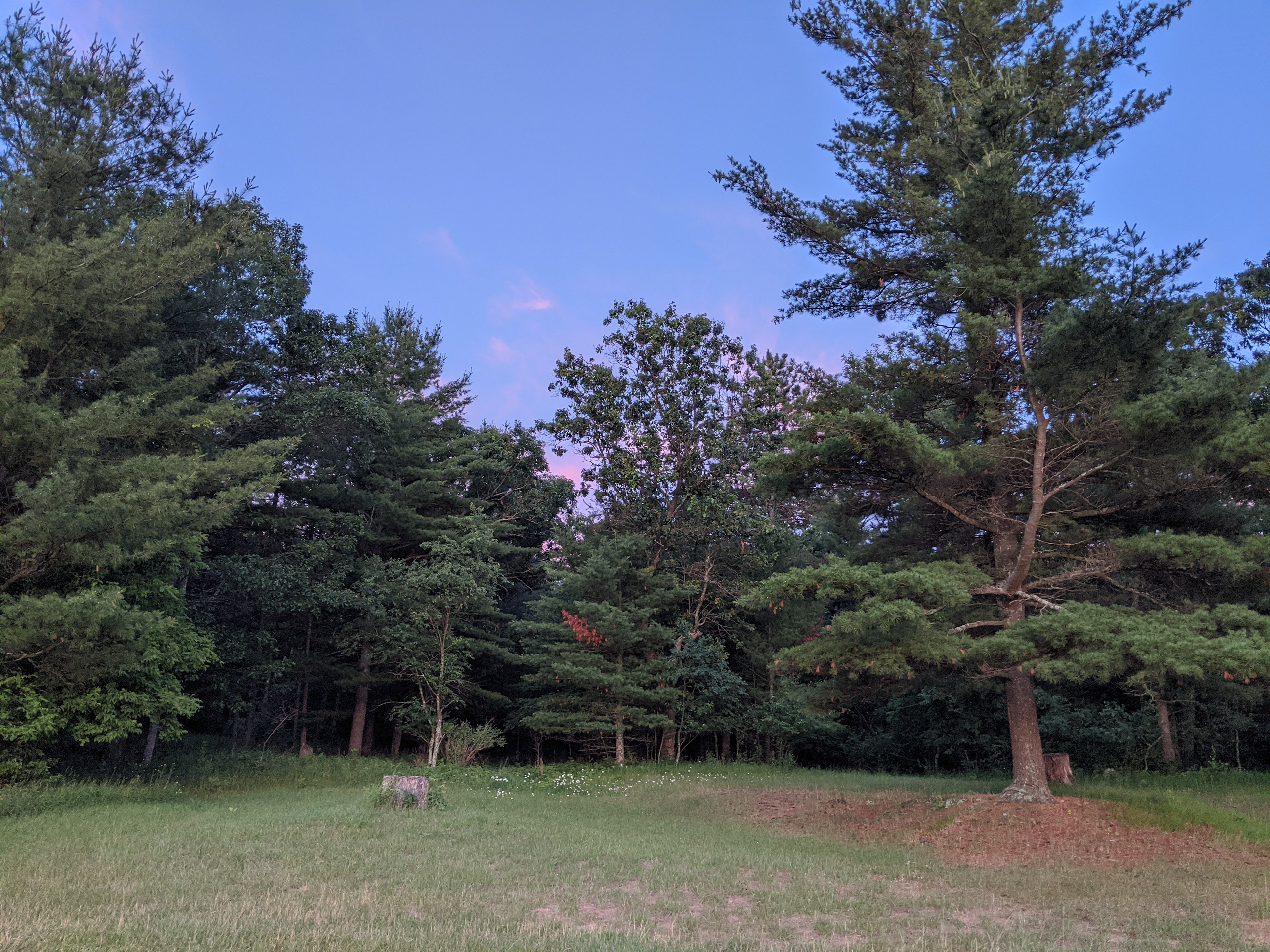 The summer camp experience