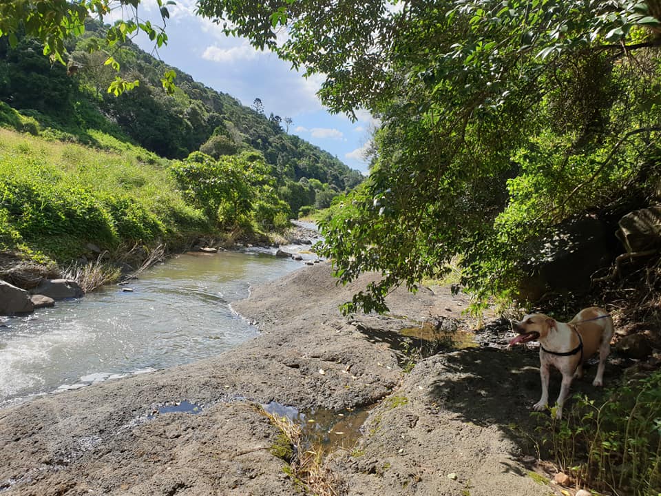 A swimming hole off the beaten path, and up the 'goat track'. (Not on the property, maybe 45 min walk)