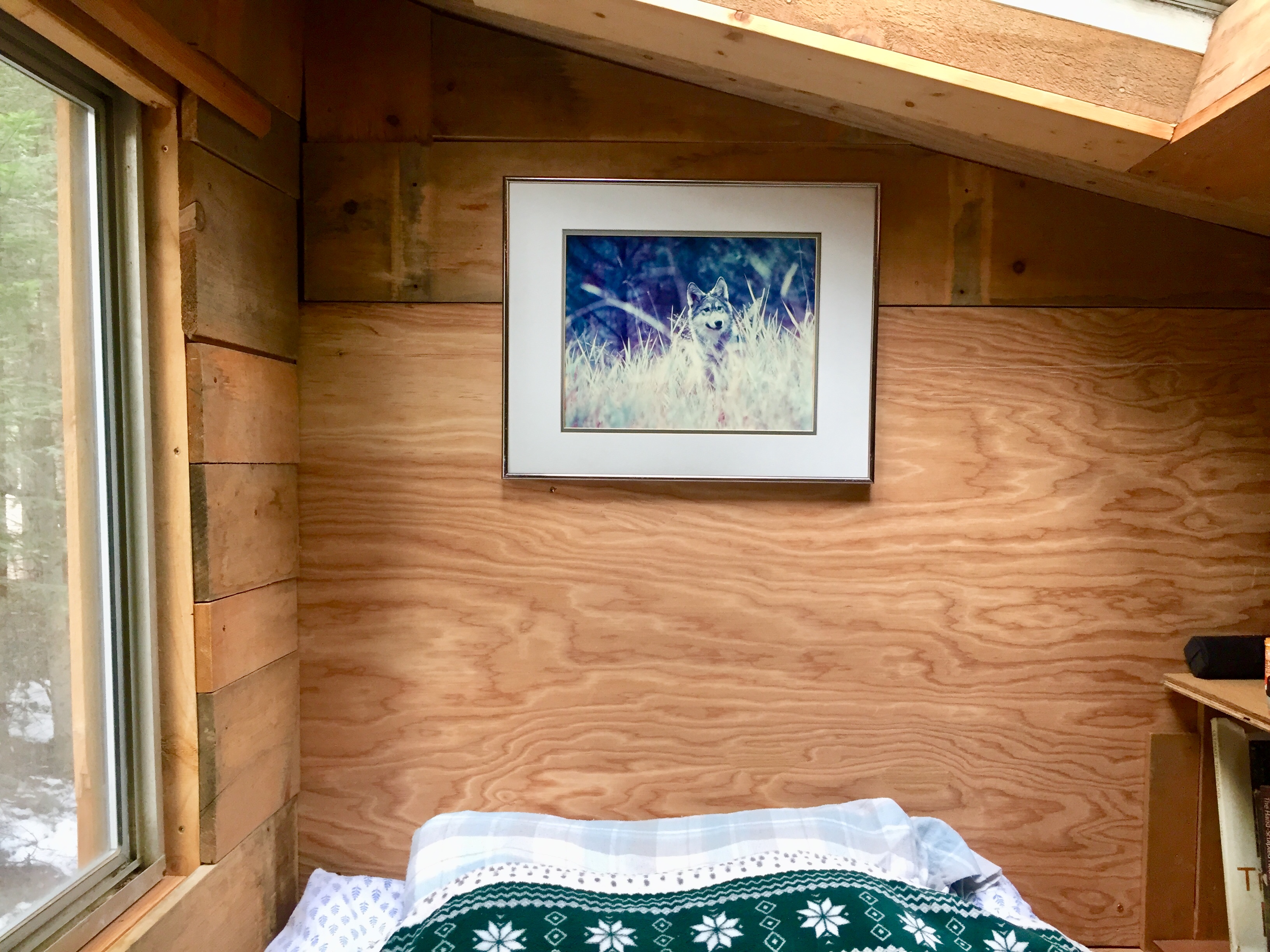 Sandpoint Mountain Tiny House