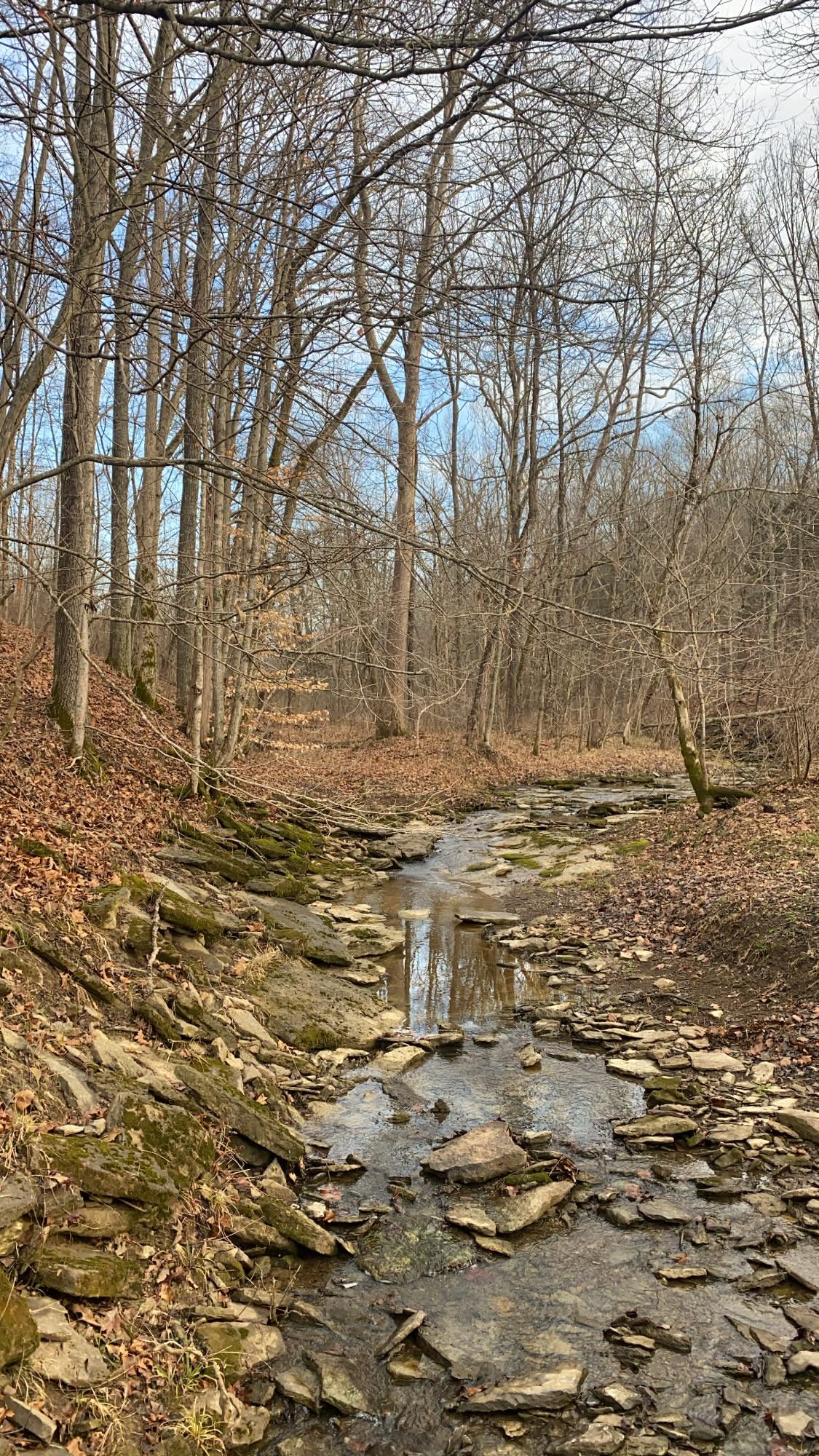 Fire pit creek side