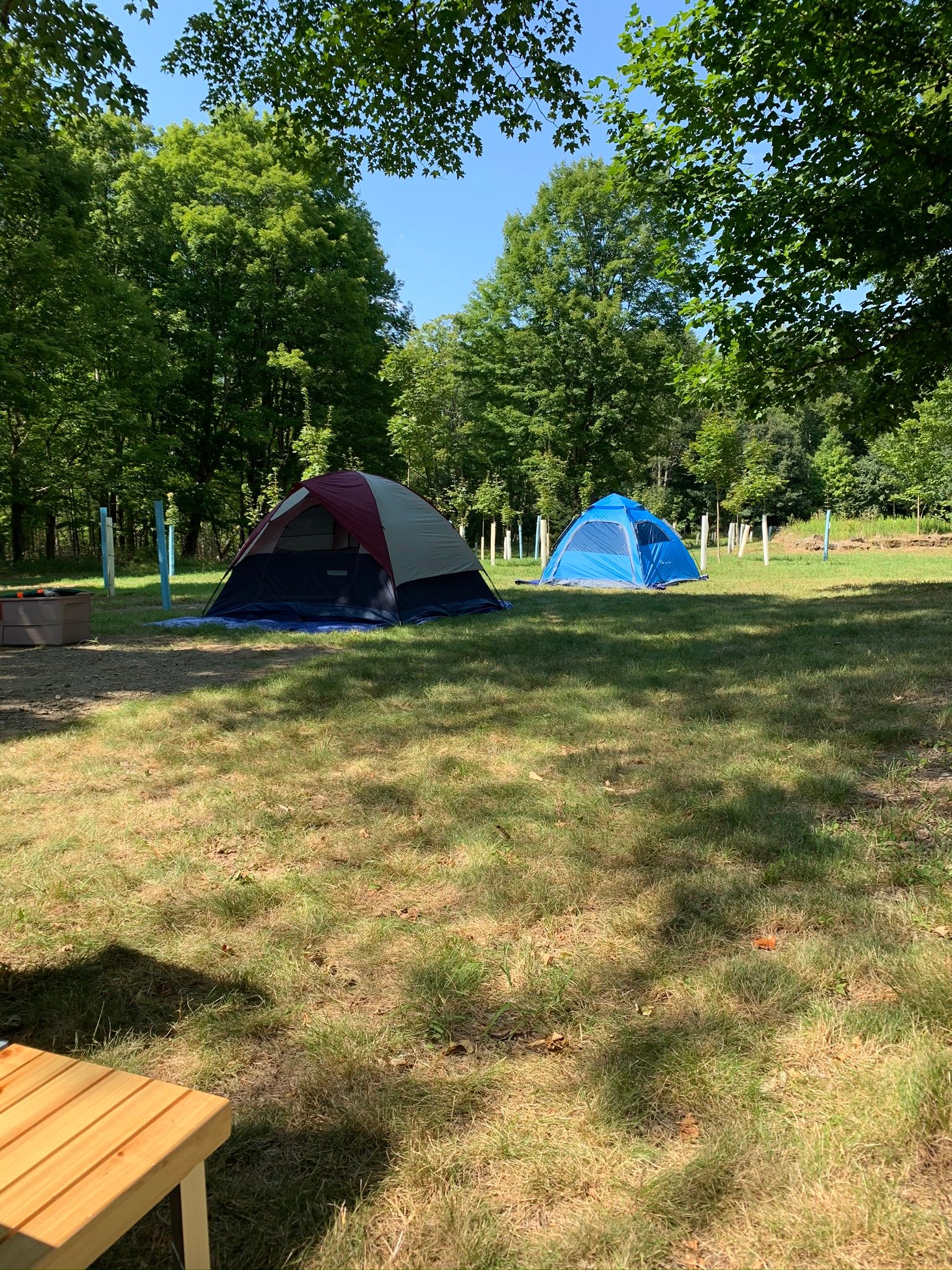 Chappel Hill Tree Farm