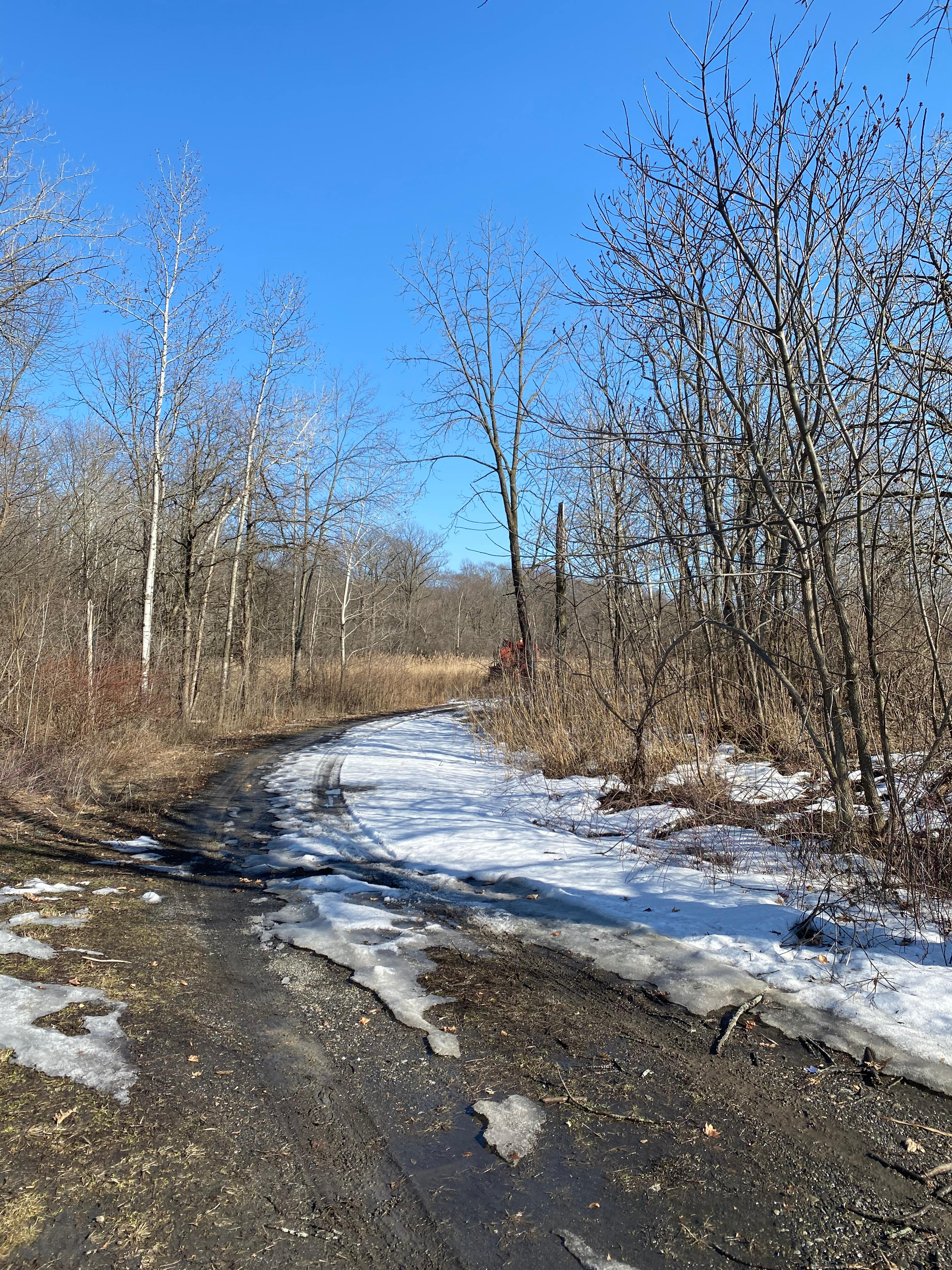 20 acre fallow farm 10 acres forest