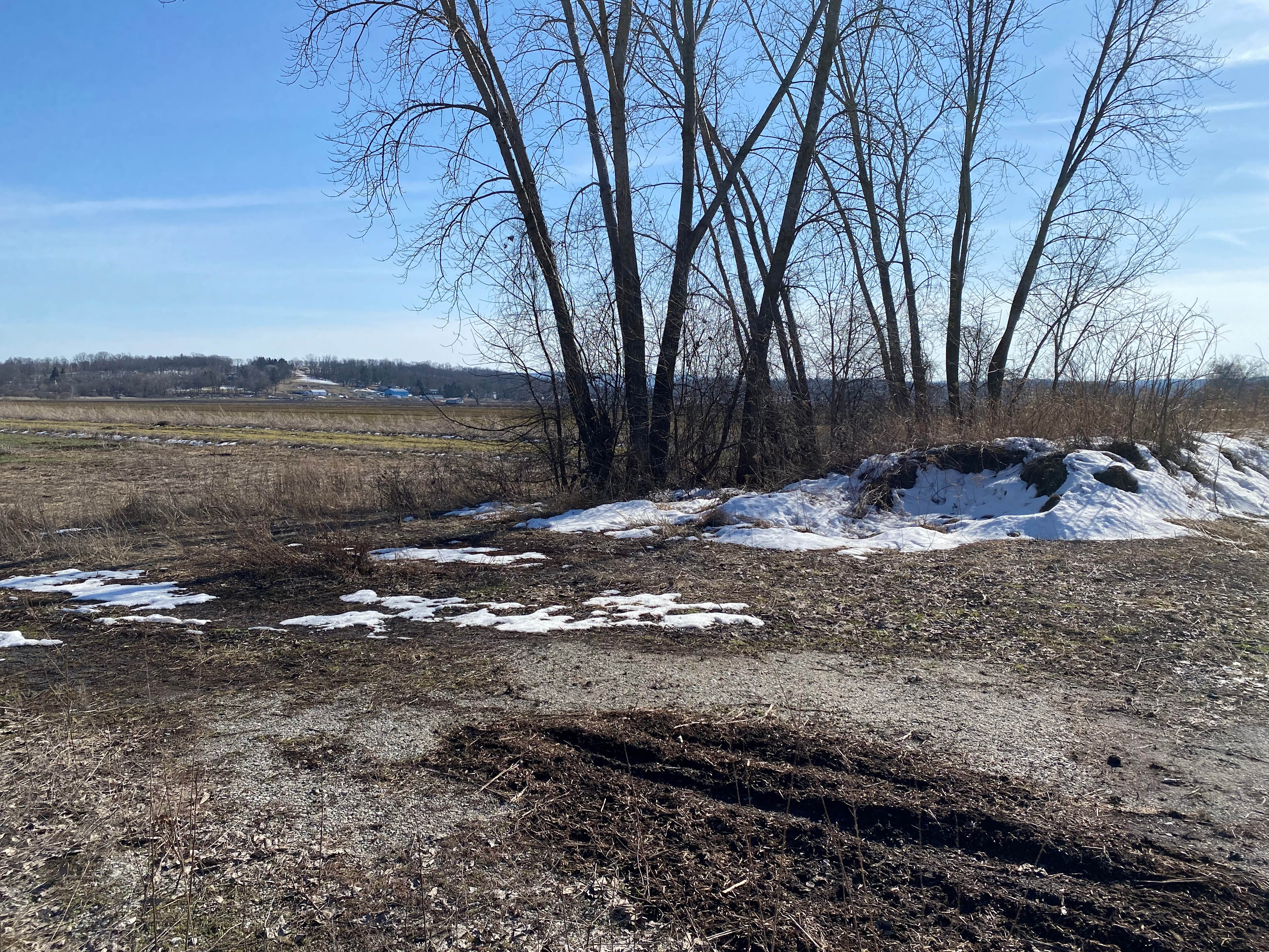 20 acre fallow farm 10 acres forest