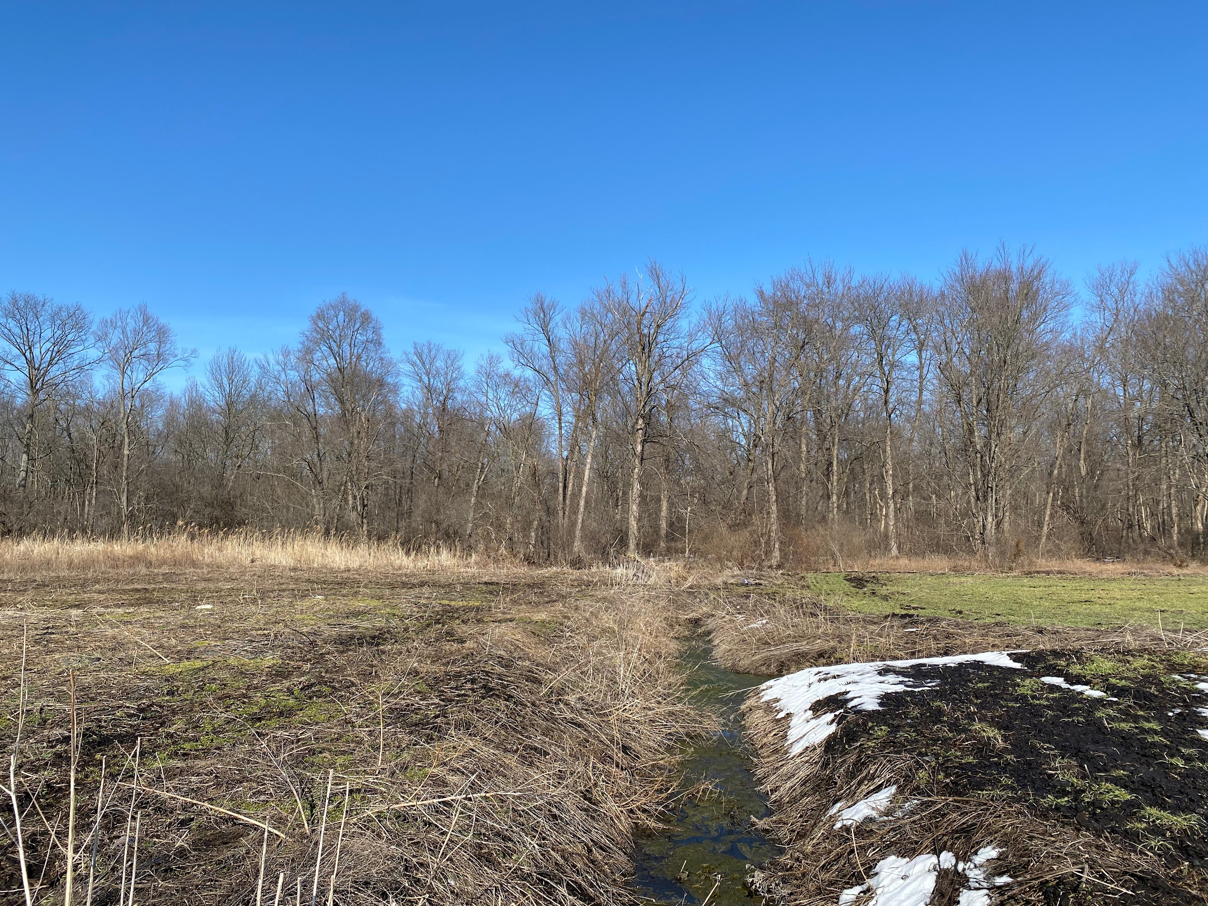 20 acre fallow farm 10 acres forest