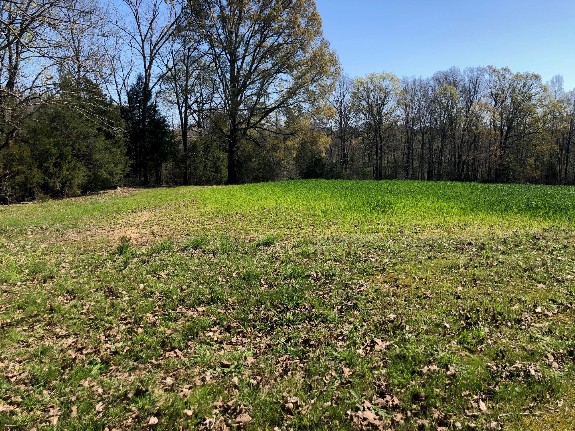 Total Isolation - South 40 Acre Lot