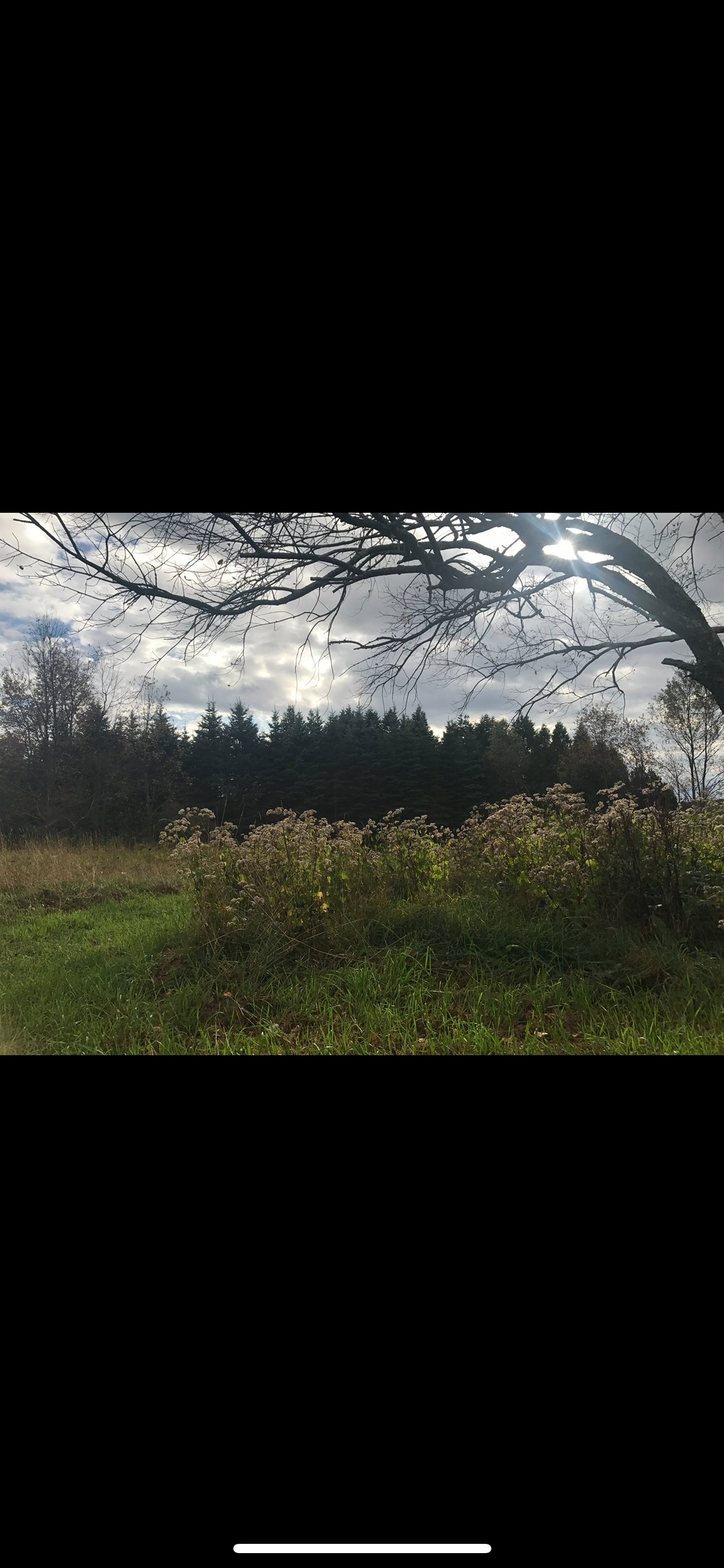 Top of the hill