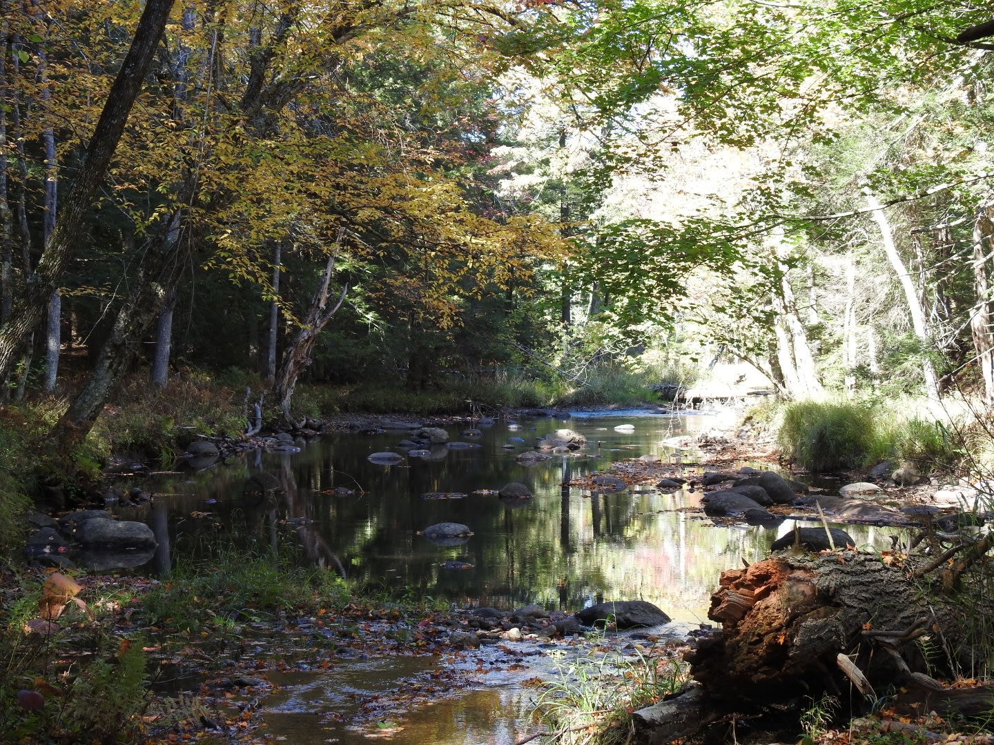 Public Fishing Stream on property