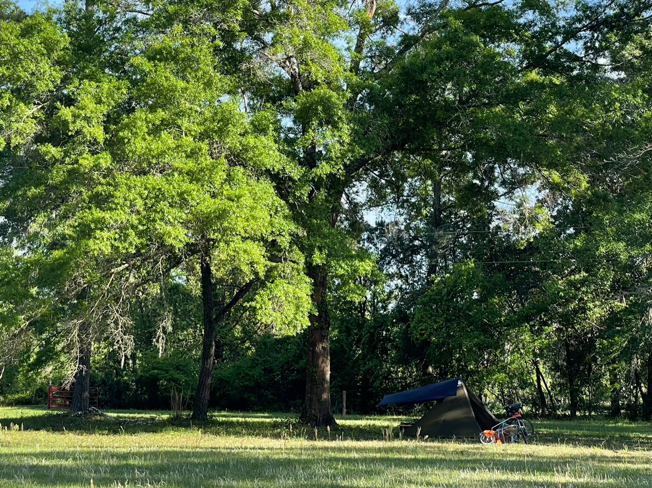 A welcome bit of shade, with plenty of sun nearby to lounge in too!