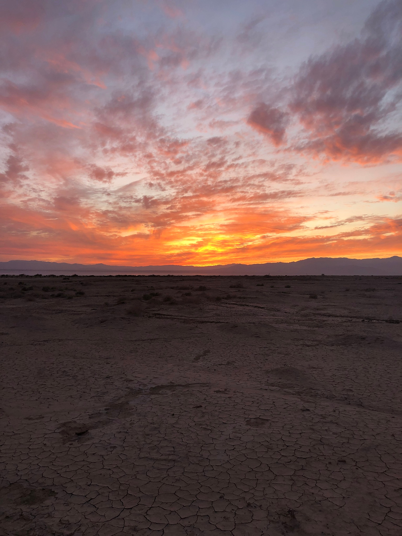 Bee Land! True Off-Grid Camping