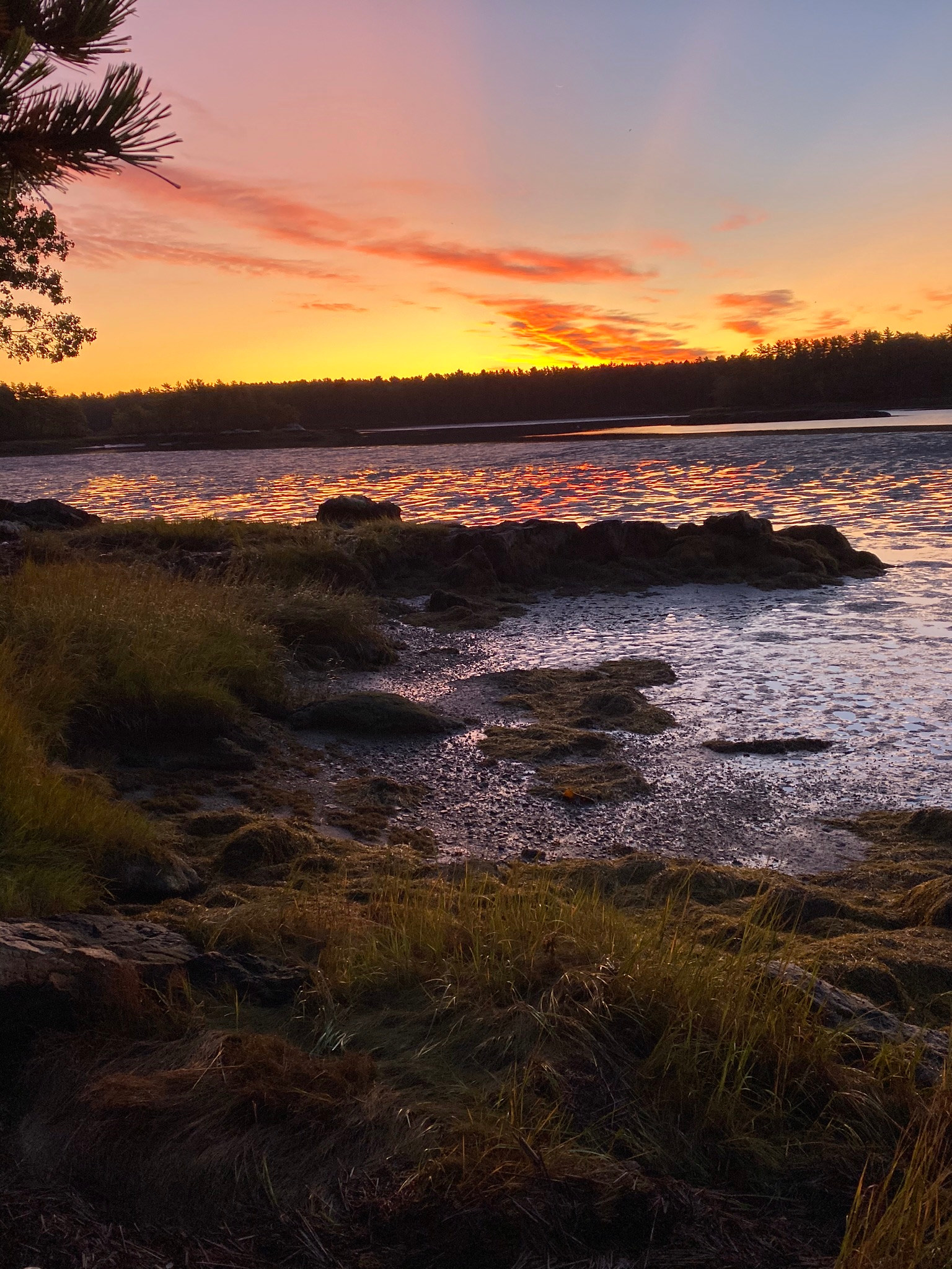 Hockomock Island