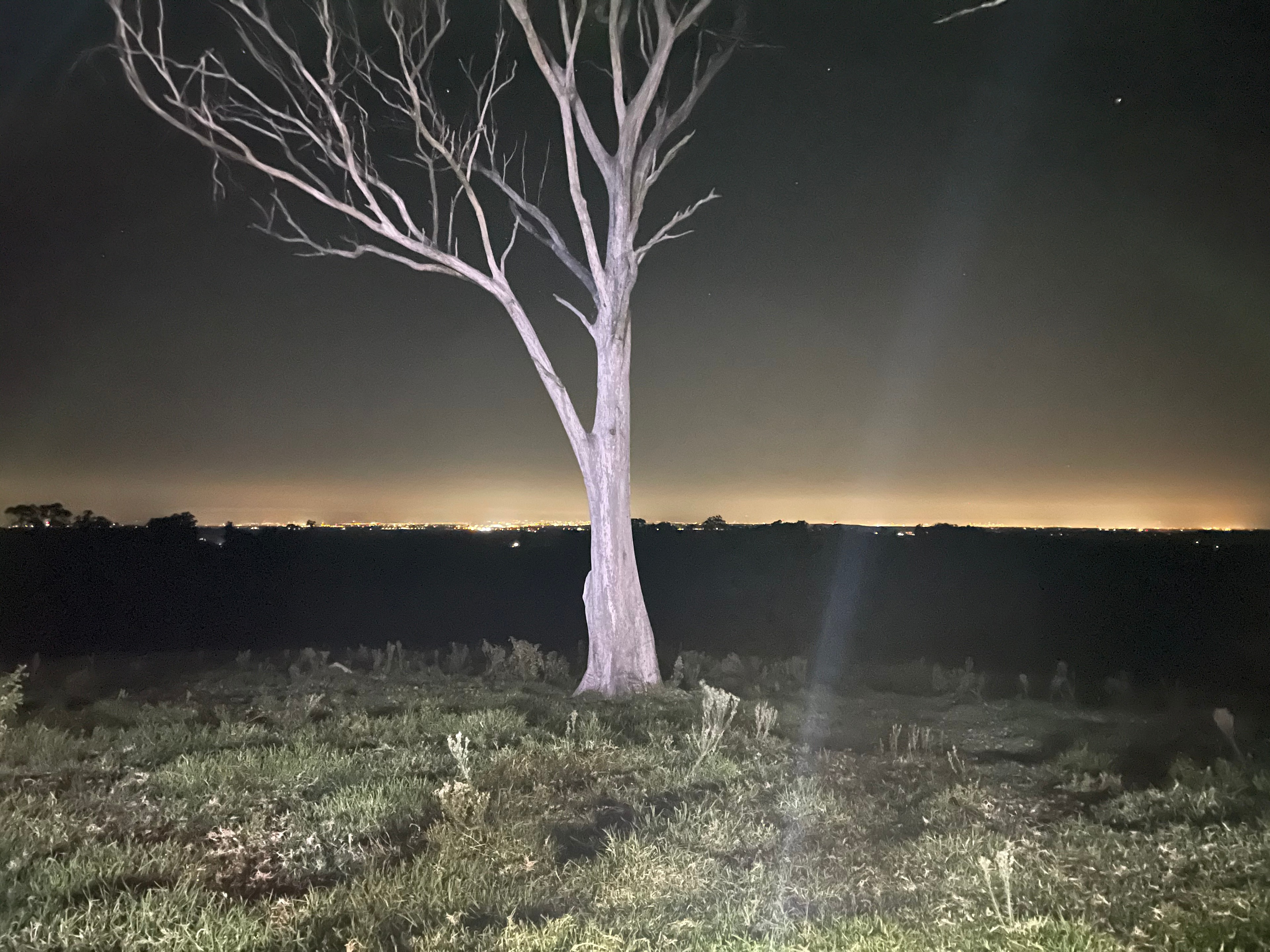 Fantastic evening view of Sydney