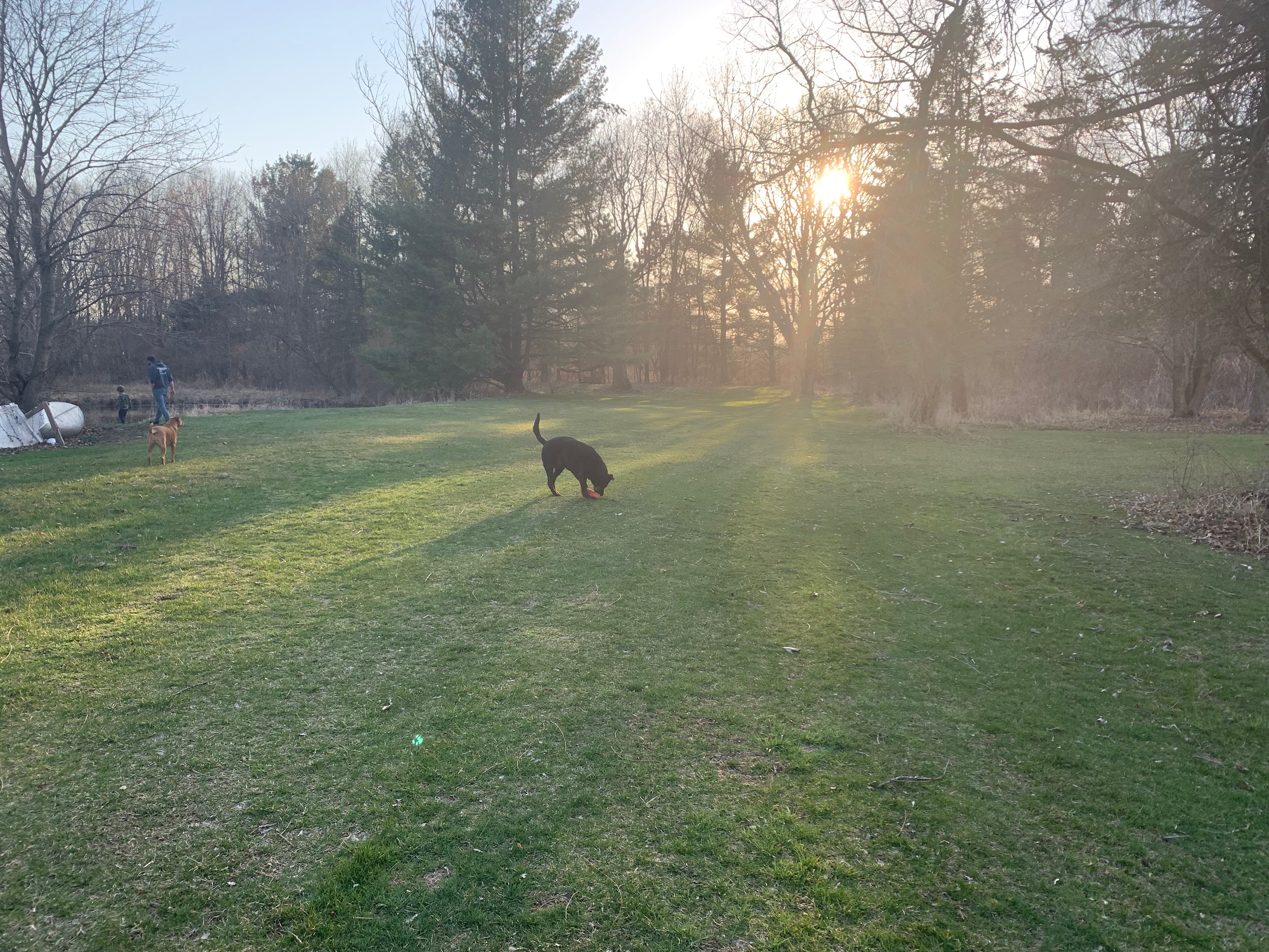 Large open, grassy field- plenty of space to spread out and find your perfect camping spot 