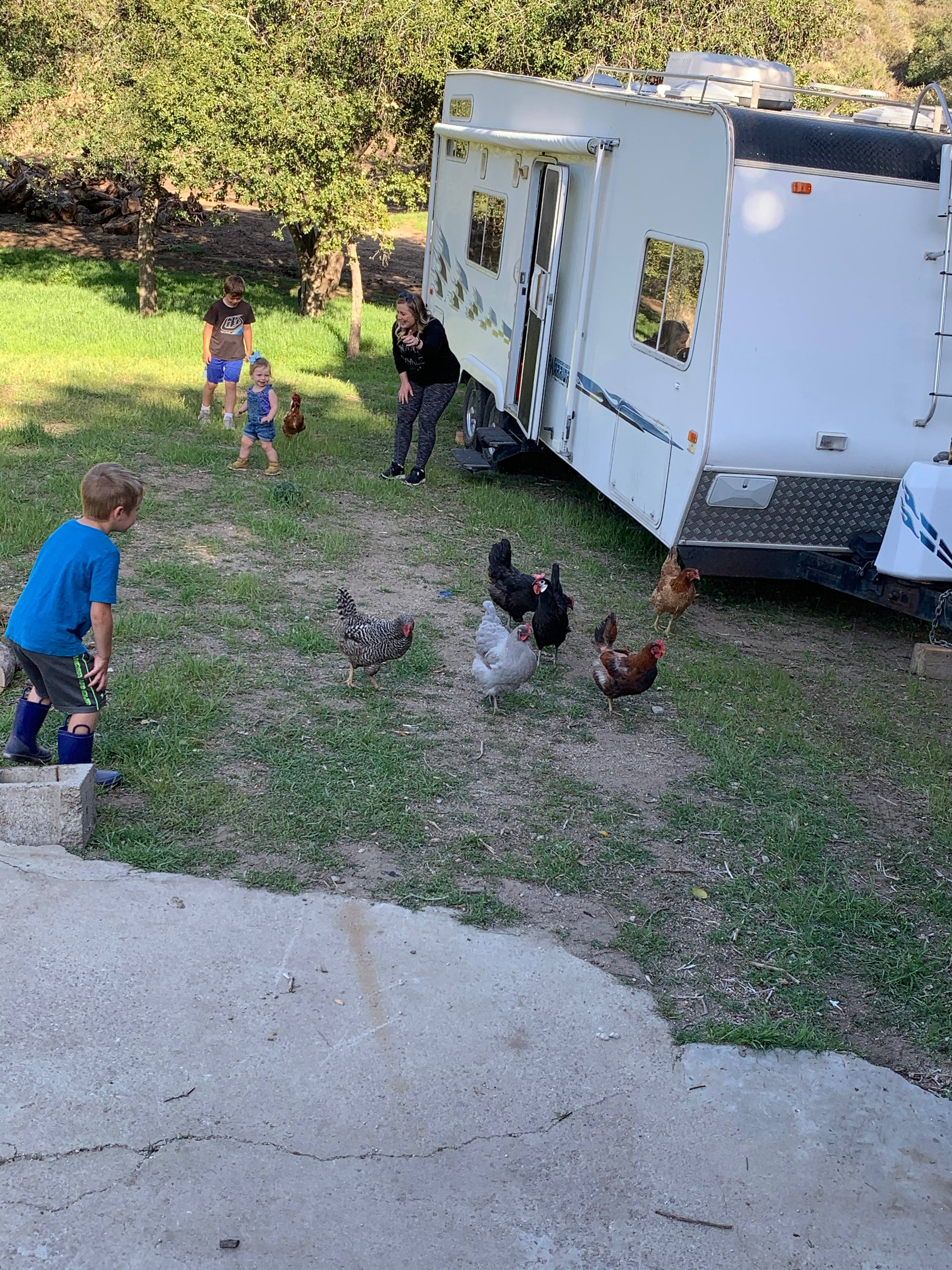 We got to eat farm fresh eggs, yum!