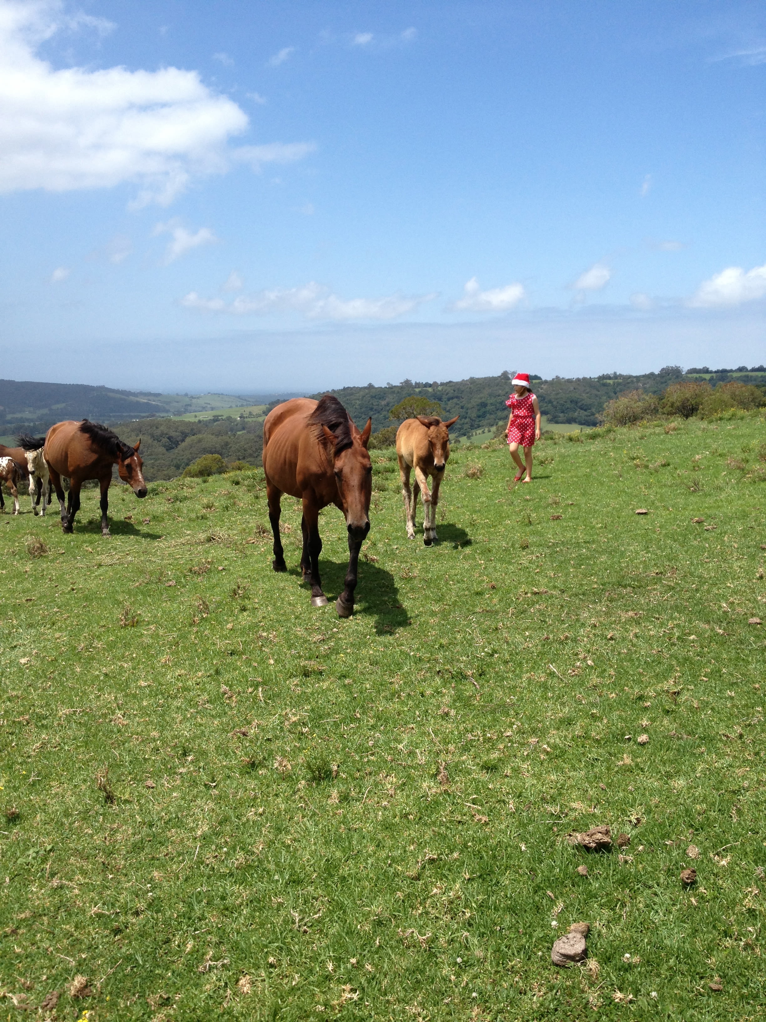 Jamberoo Mountain Farm Camp