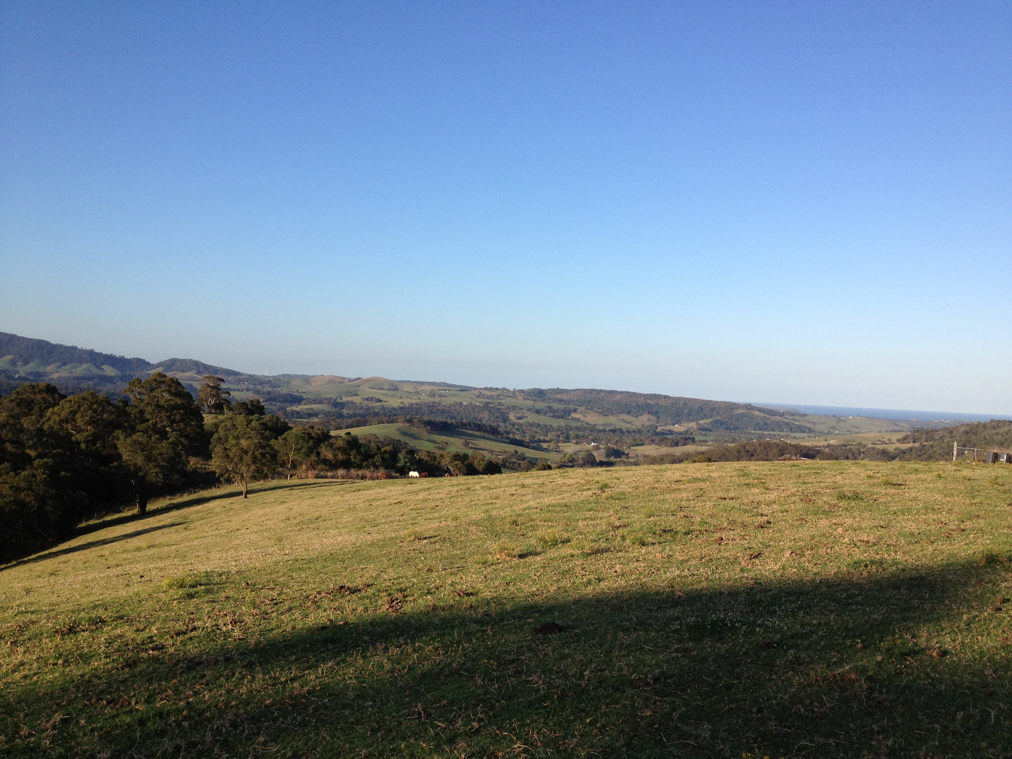 Jamberoo Mountain Farm Camp
