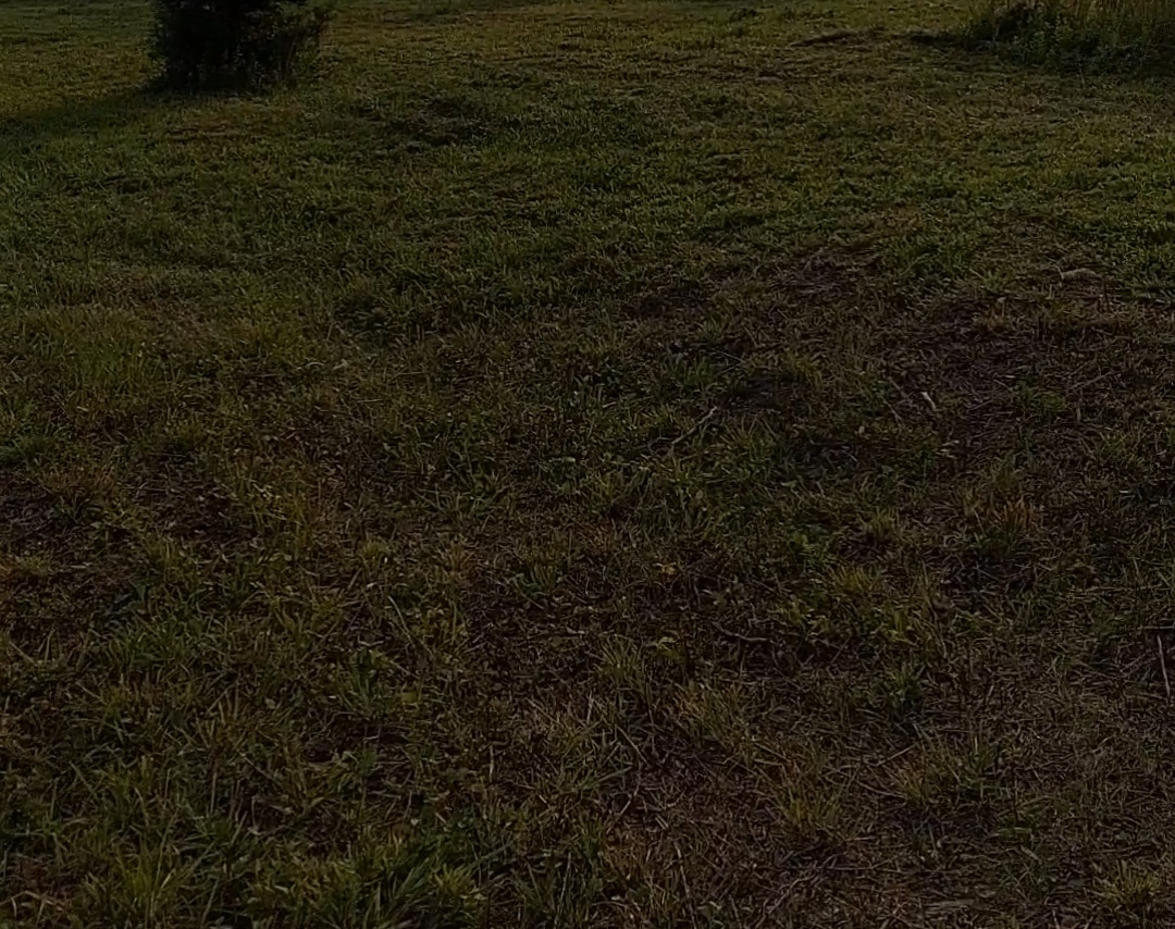 Fresh Air Field