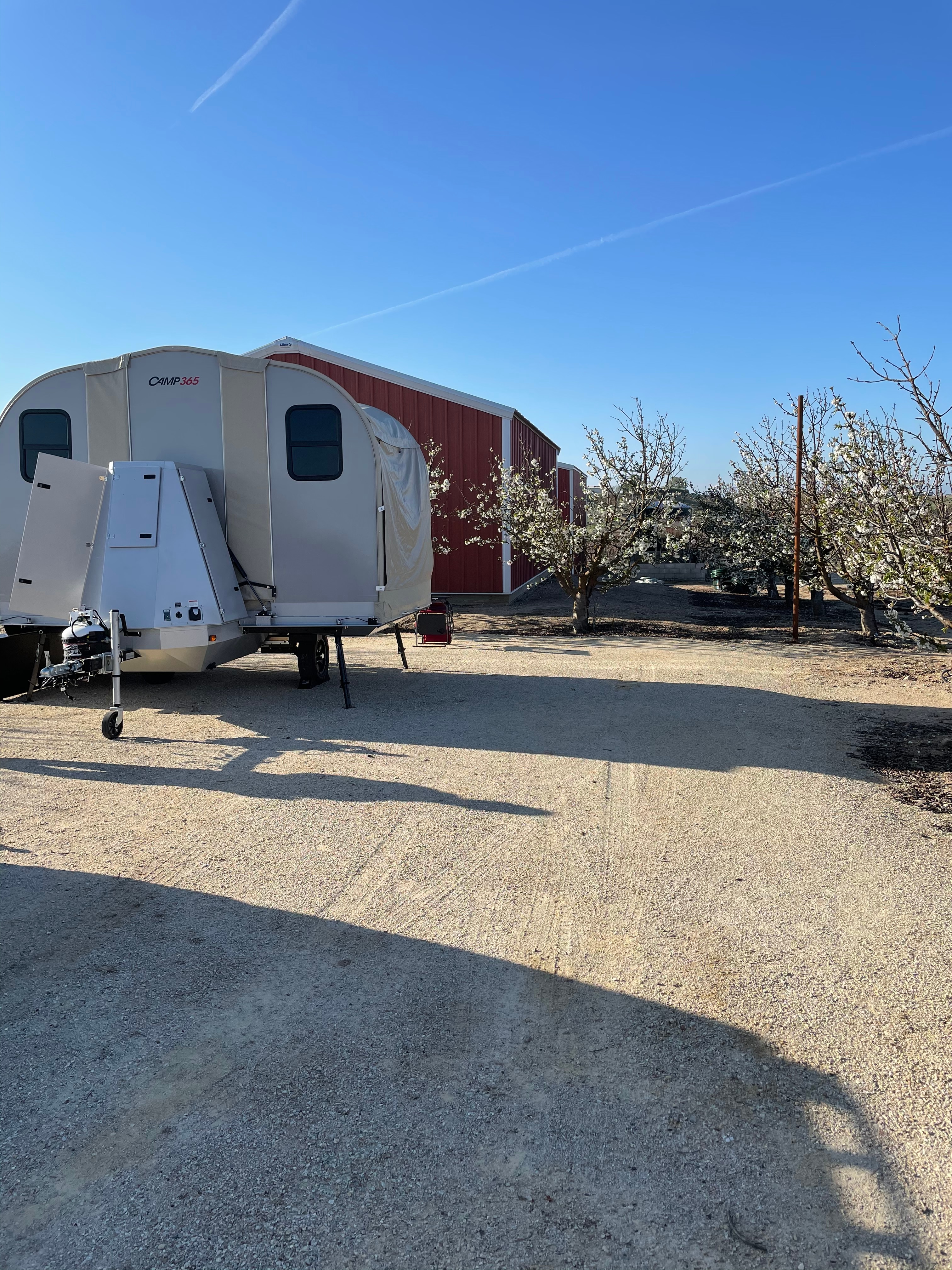 Our Camp365 among the apple trees
