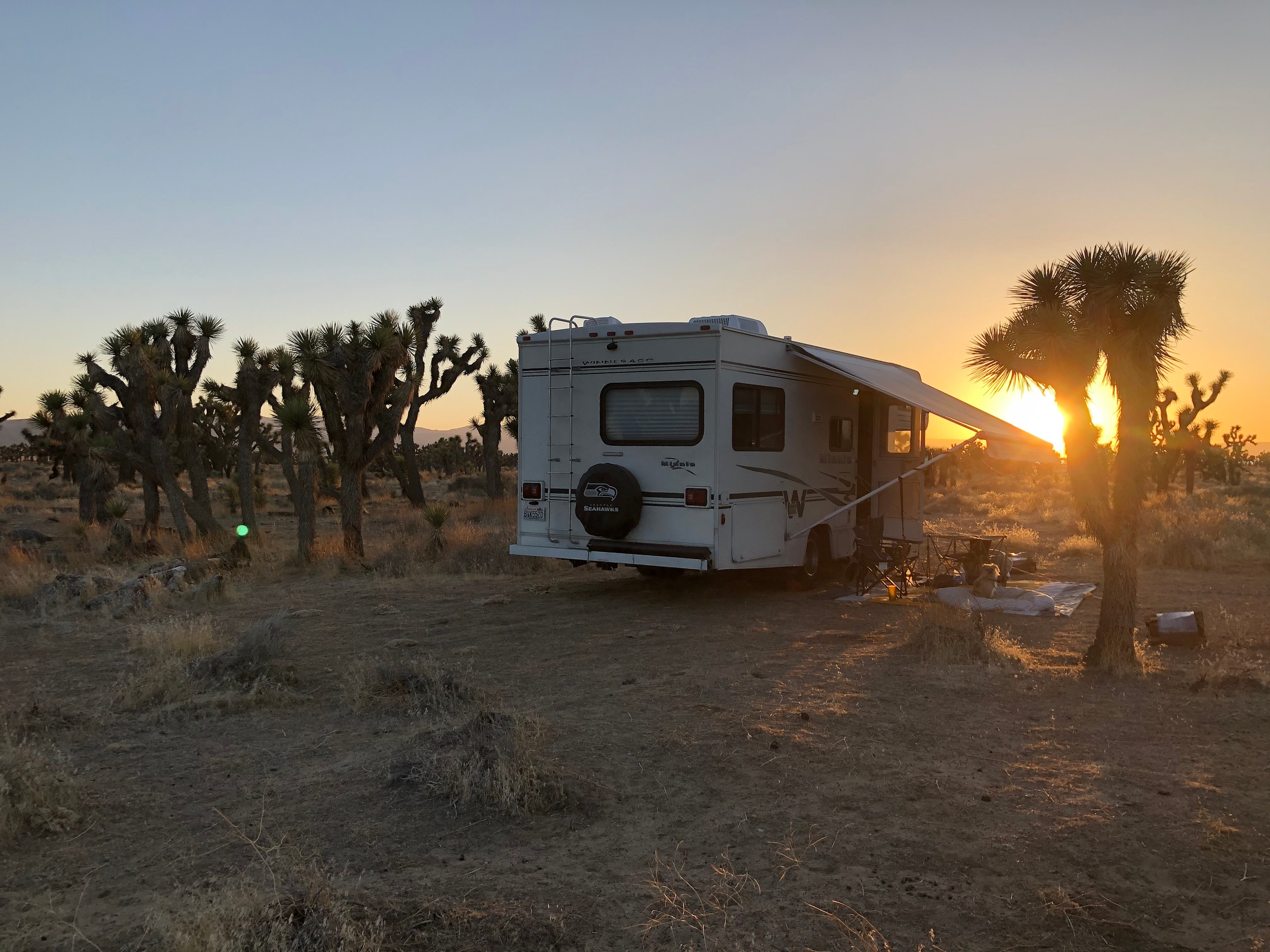 Joshua Tree Ranch Los Angeles