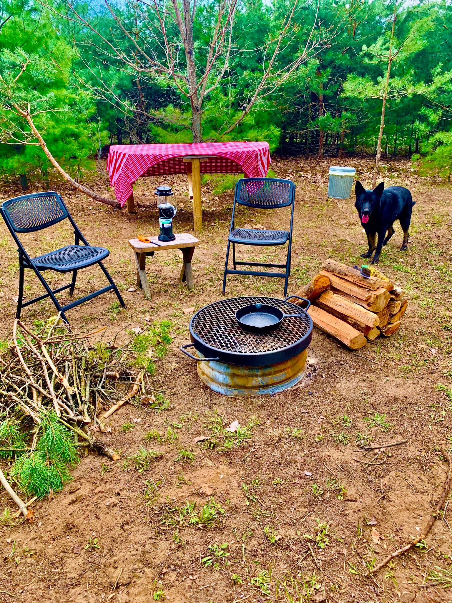 Camp Squid Off The Grid