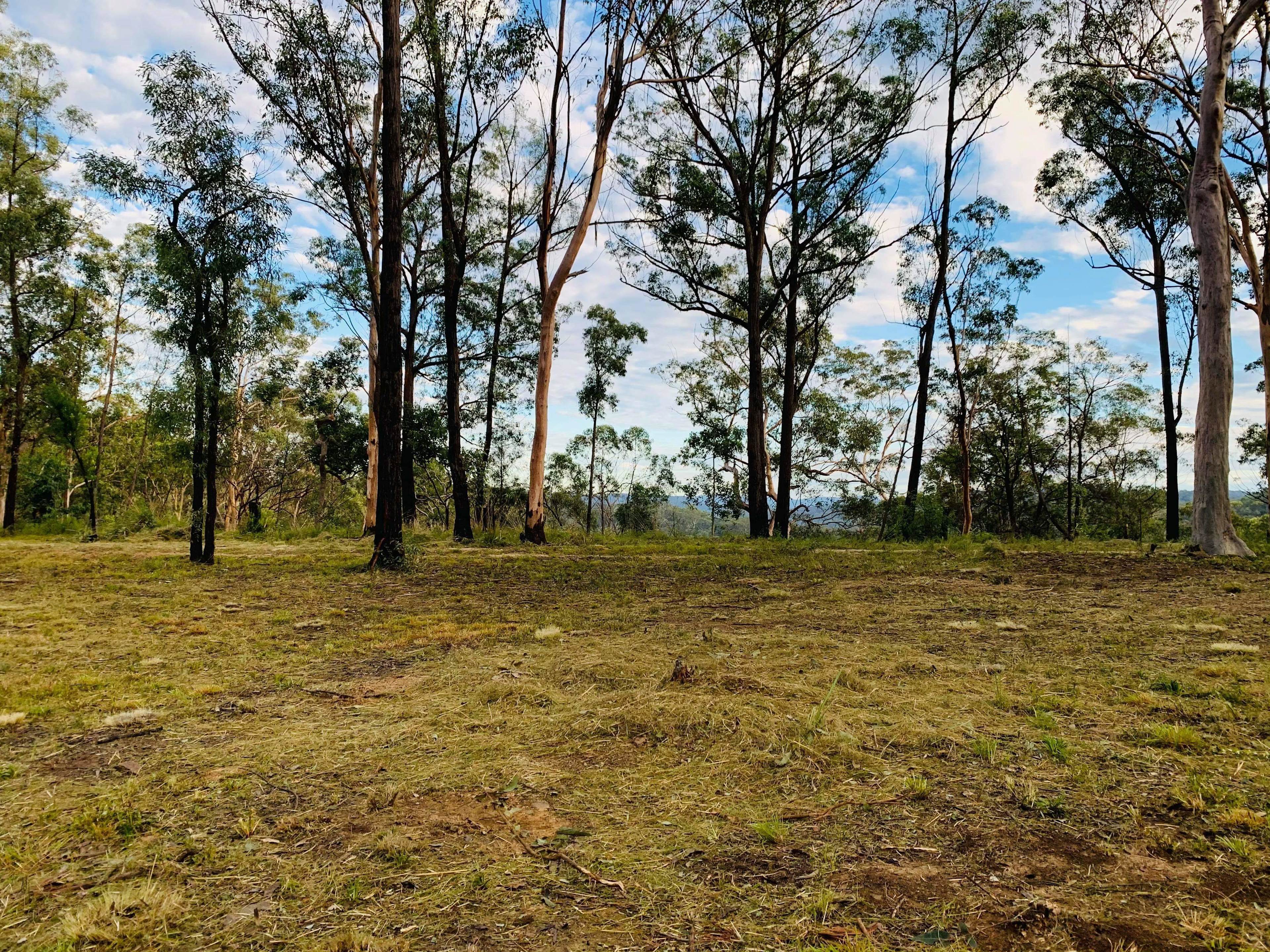 Kamameja Remote Bush Camp