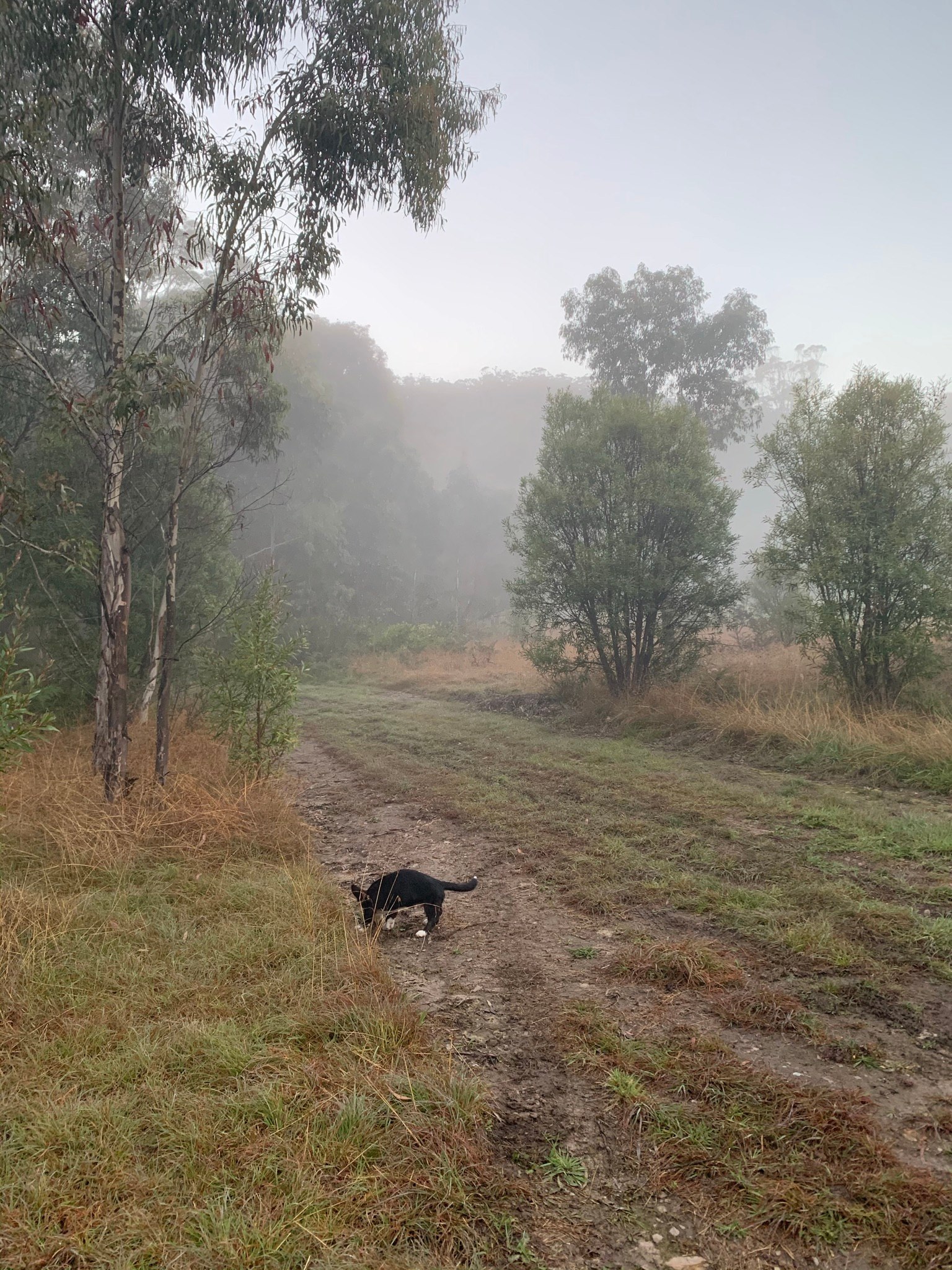 Hartley Vale Garlic Farm