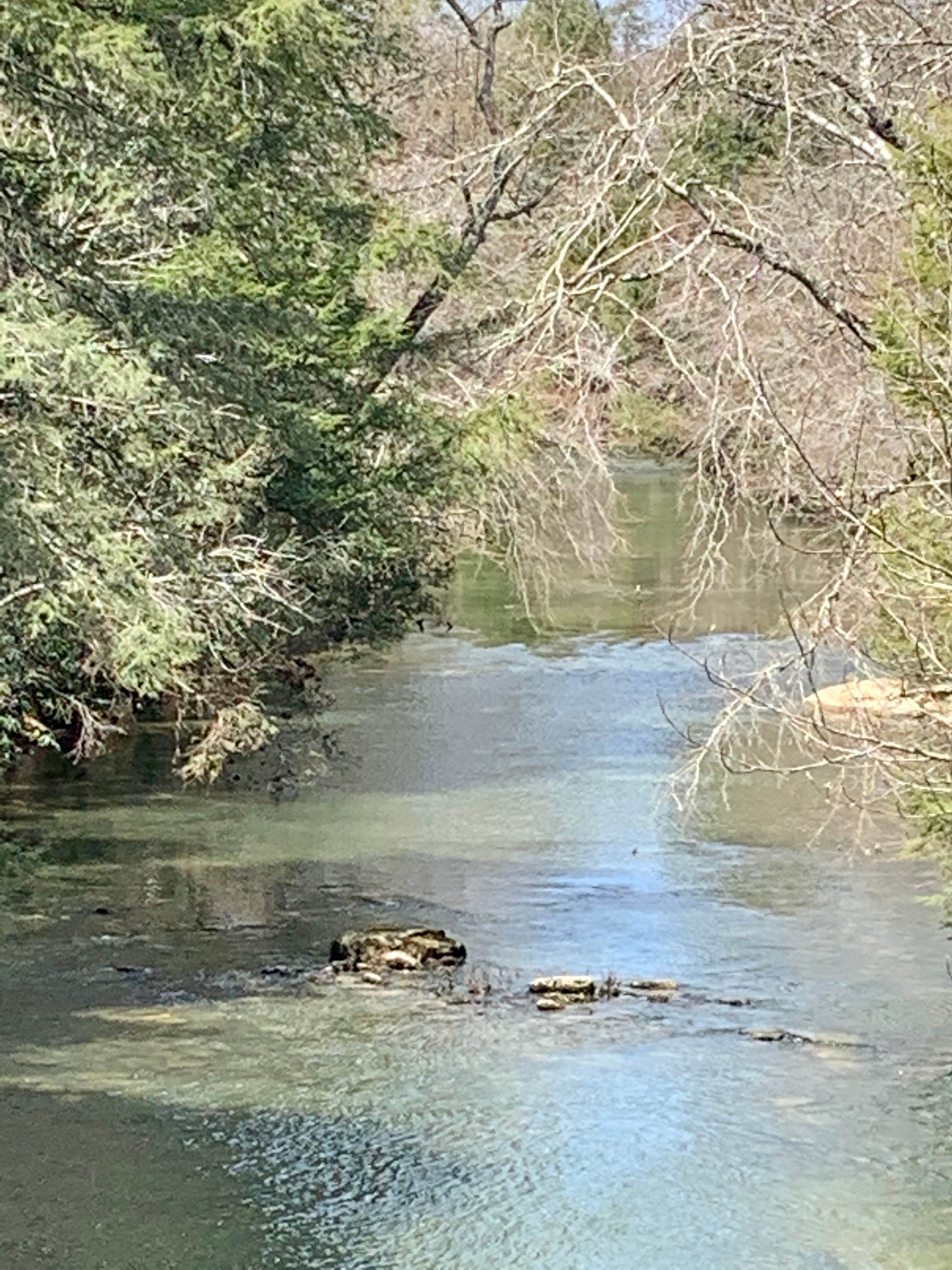 The Caney Fork river is on the property a short, moderate hike from the camp site. The walk to the river takes 5-10 minutes.