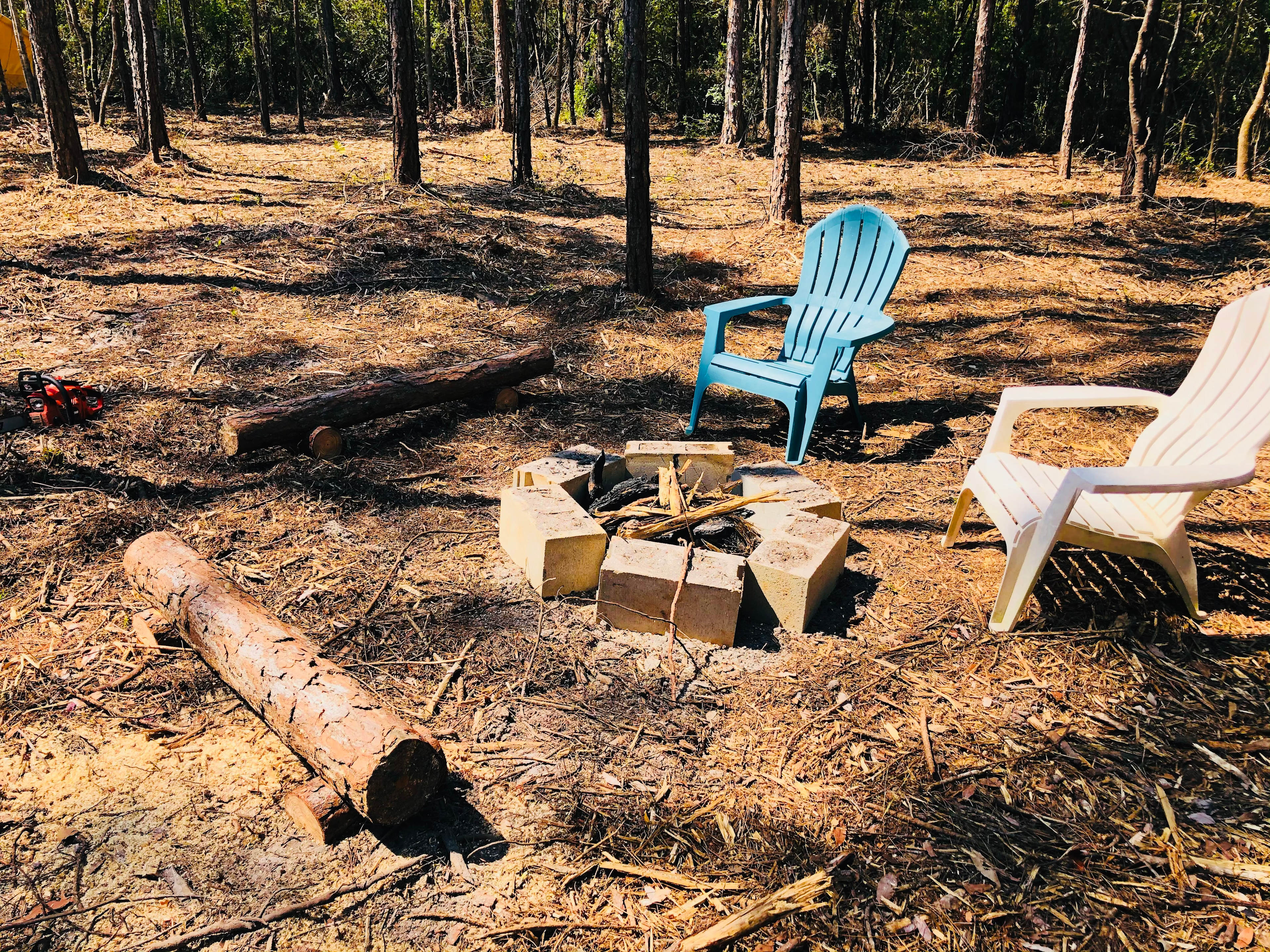 Bay Forest Retreat