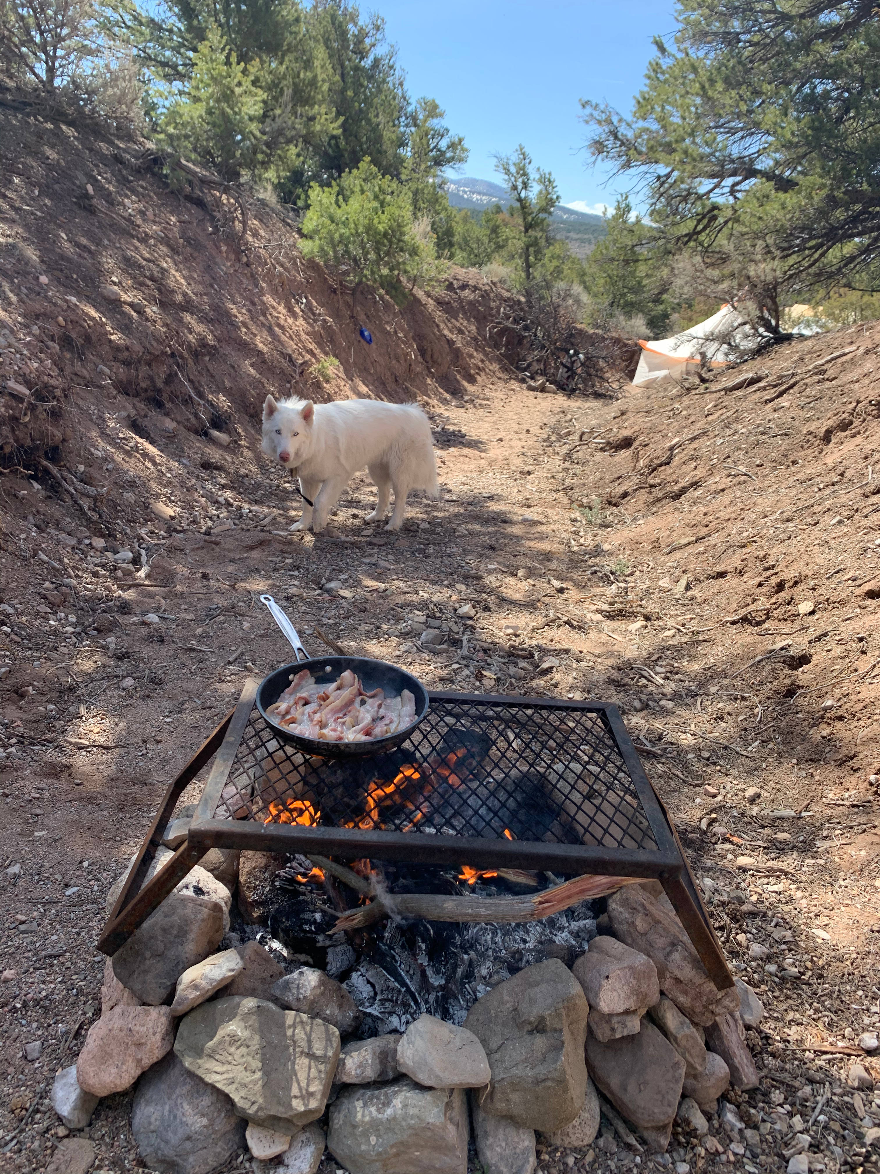 Cooking grate stays for guests!
