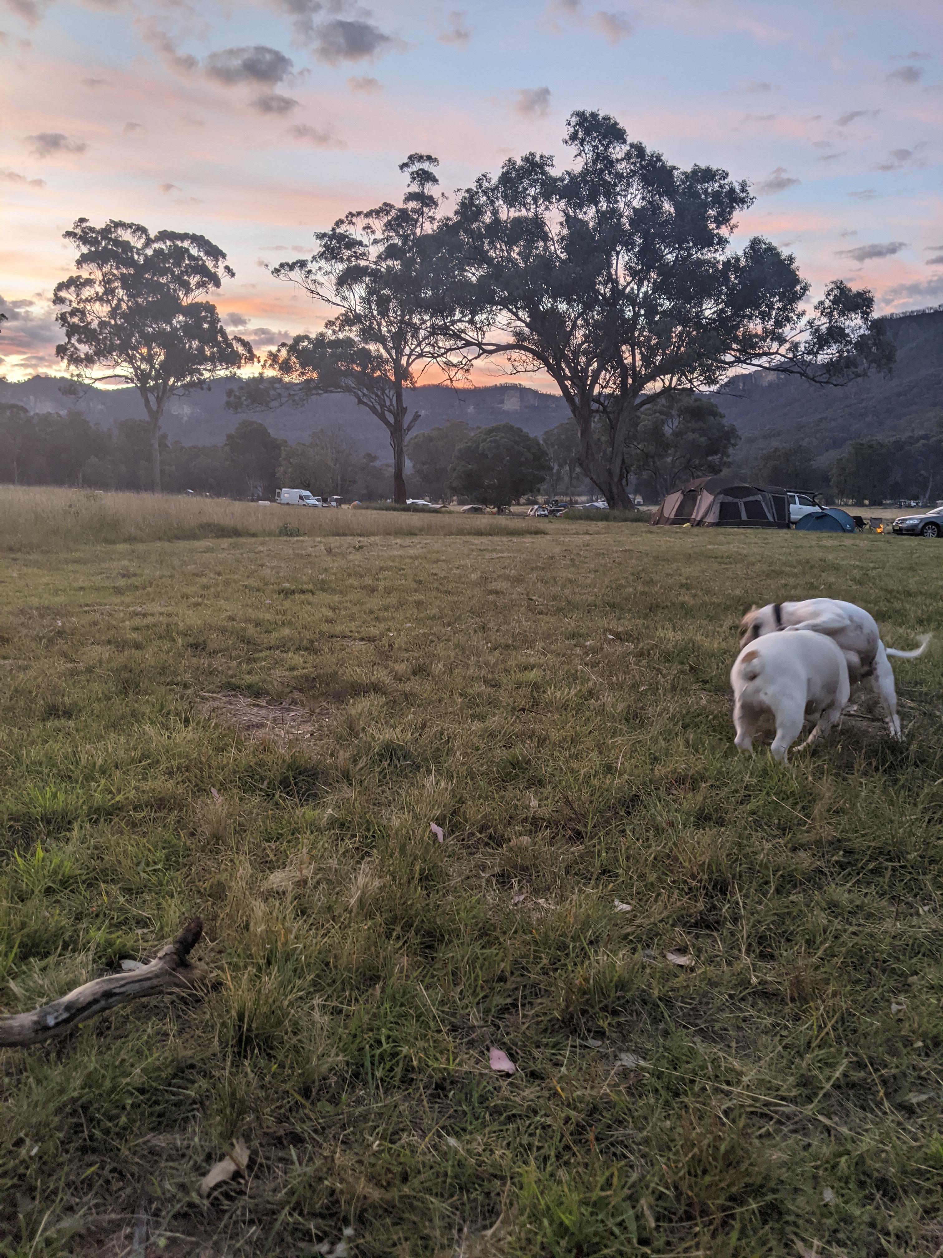 Canyon Country Camping, Glen Alice