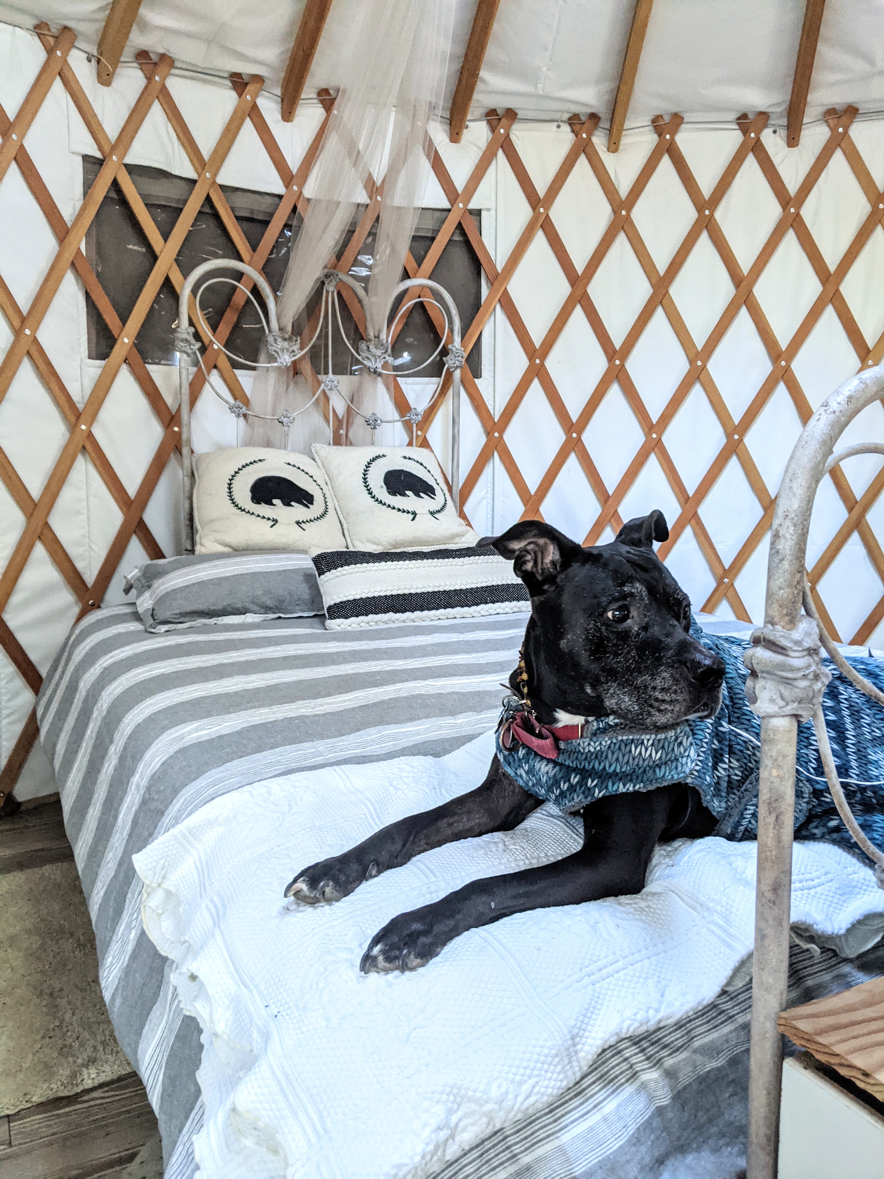 Ella was warmly welcomed and felt super comfortable here.