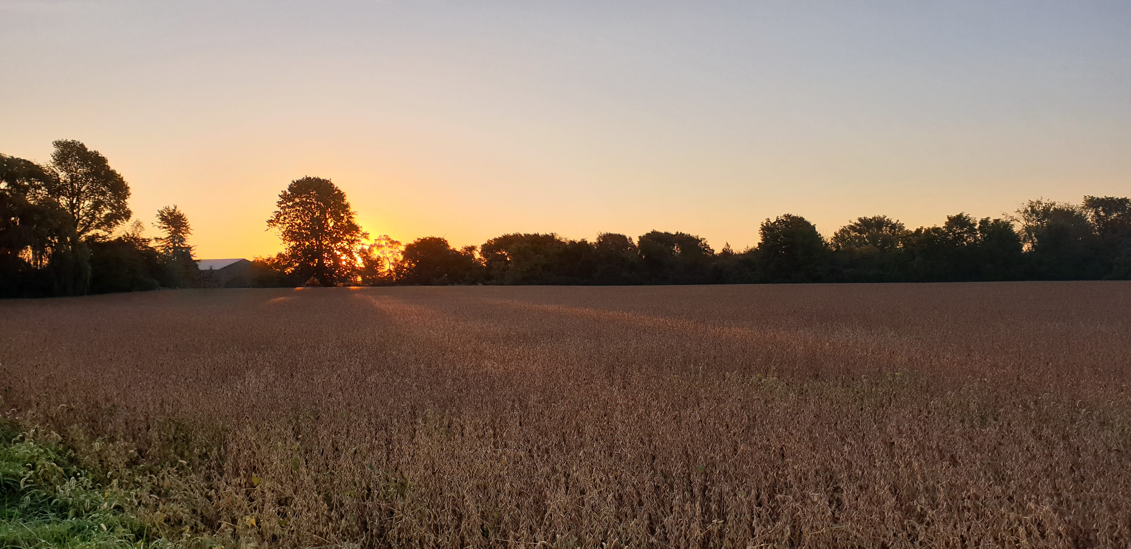 Farm Camp & Art Retreat