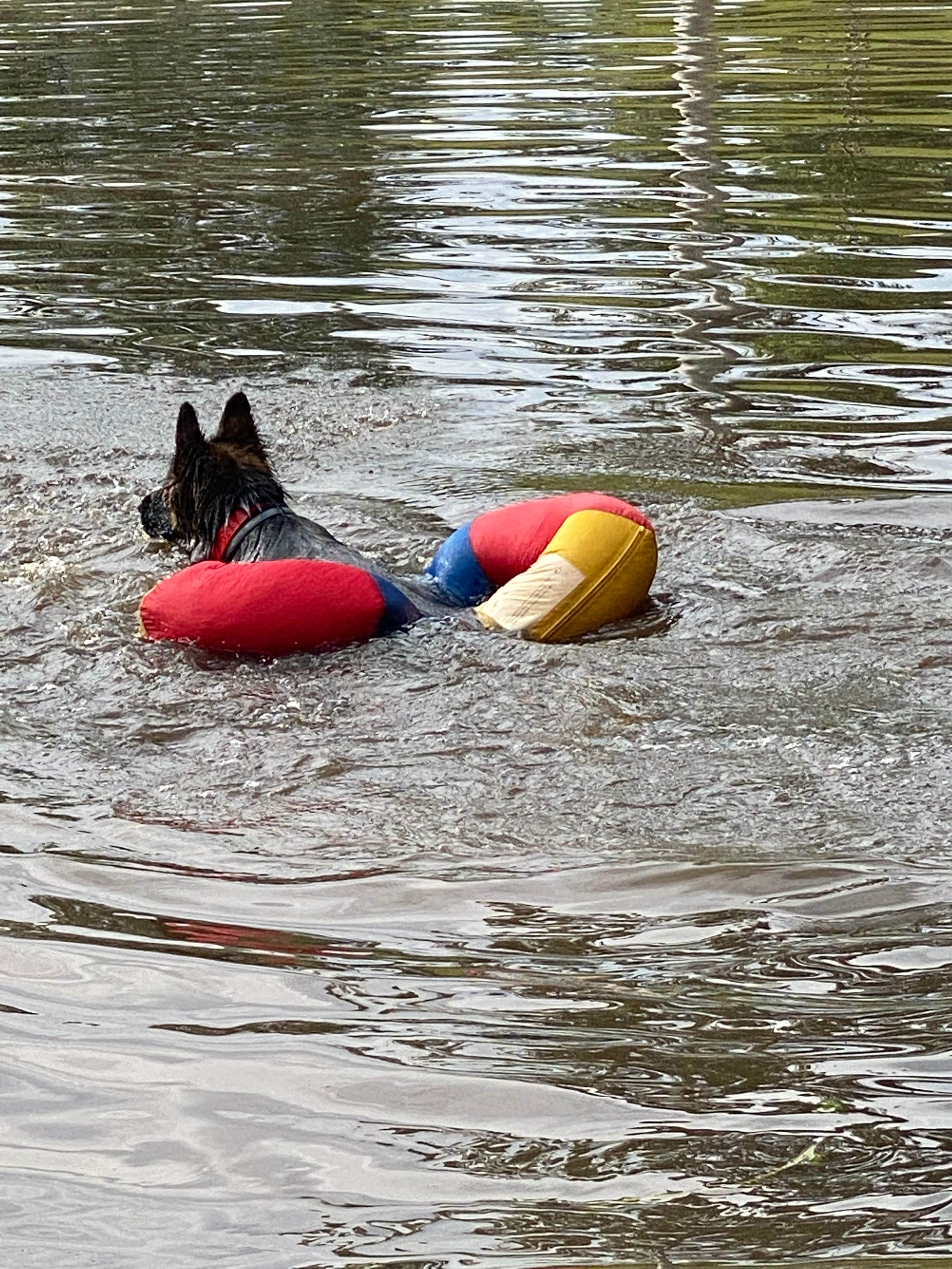 Wootton Arabian Stud Farmstay