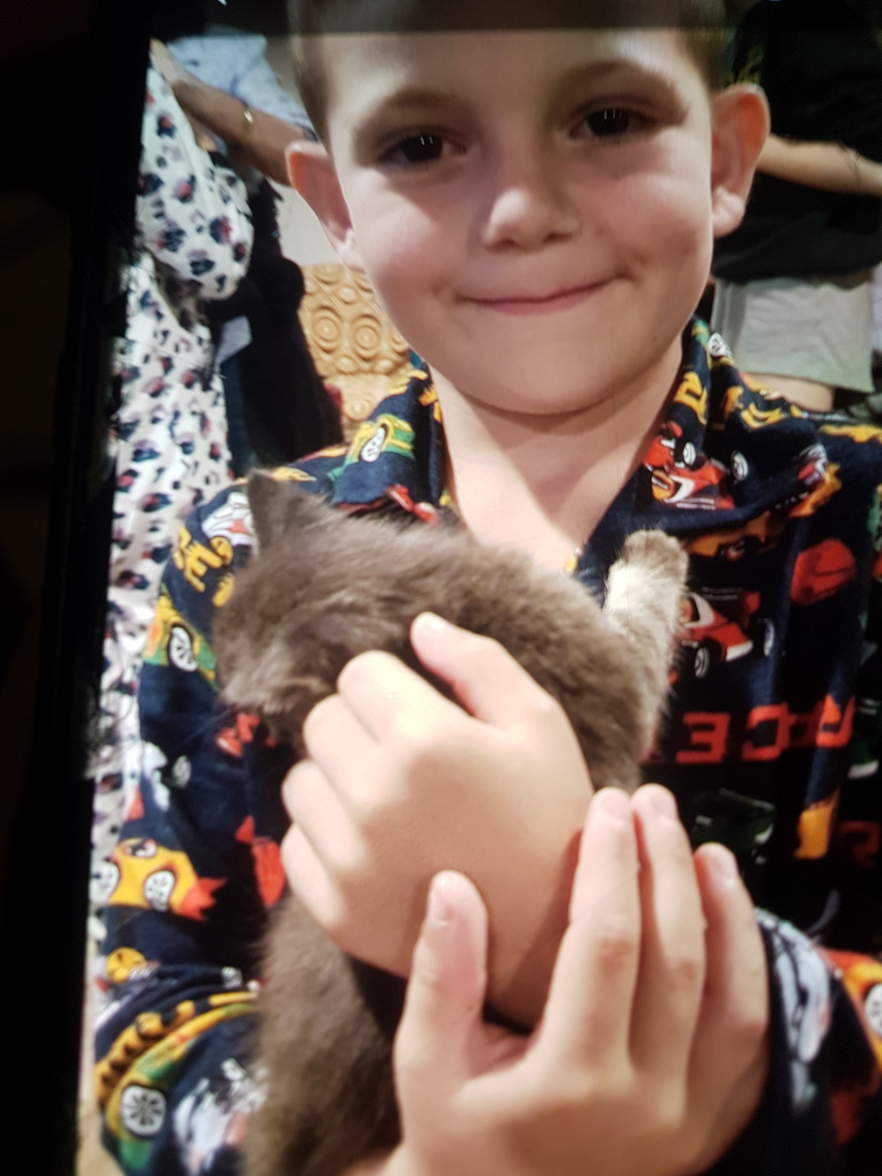 Grandson even got to hold one of the kittens thank you Di, 
Thank you George for a great time 
They also fill gas bottles have ice sell bags of wood 
👍👍👍👍👍👍👍👍