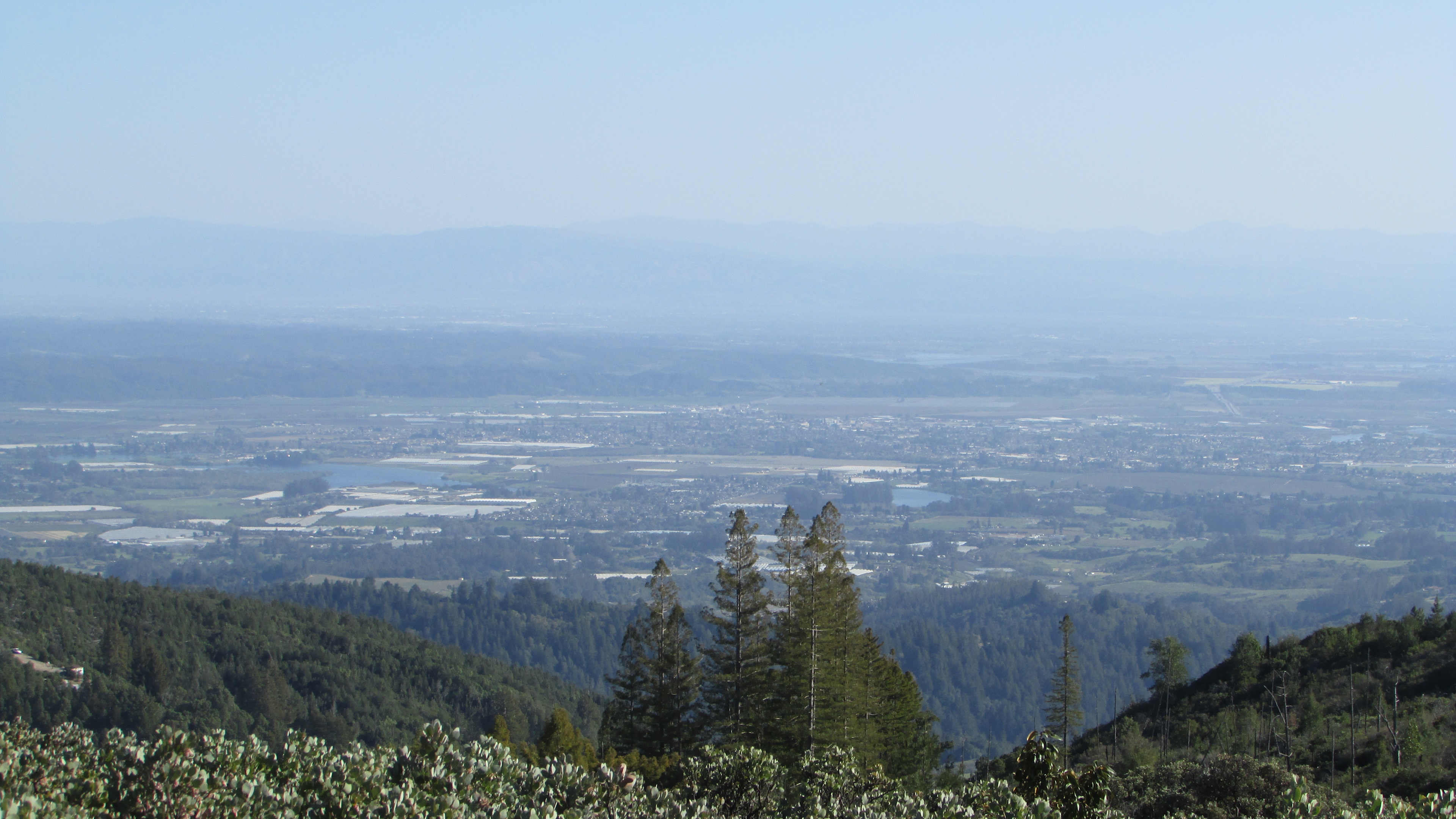 Santa Cruz Bayview Retreat