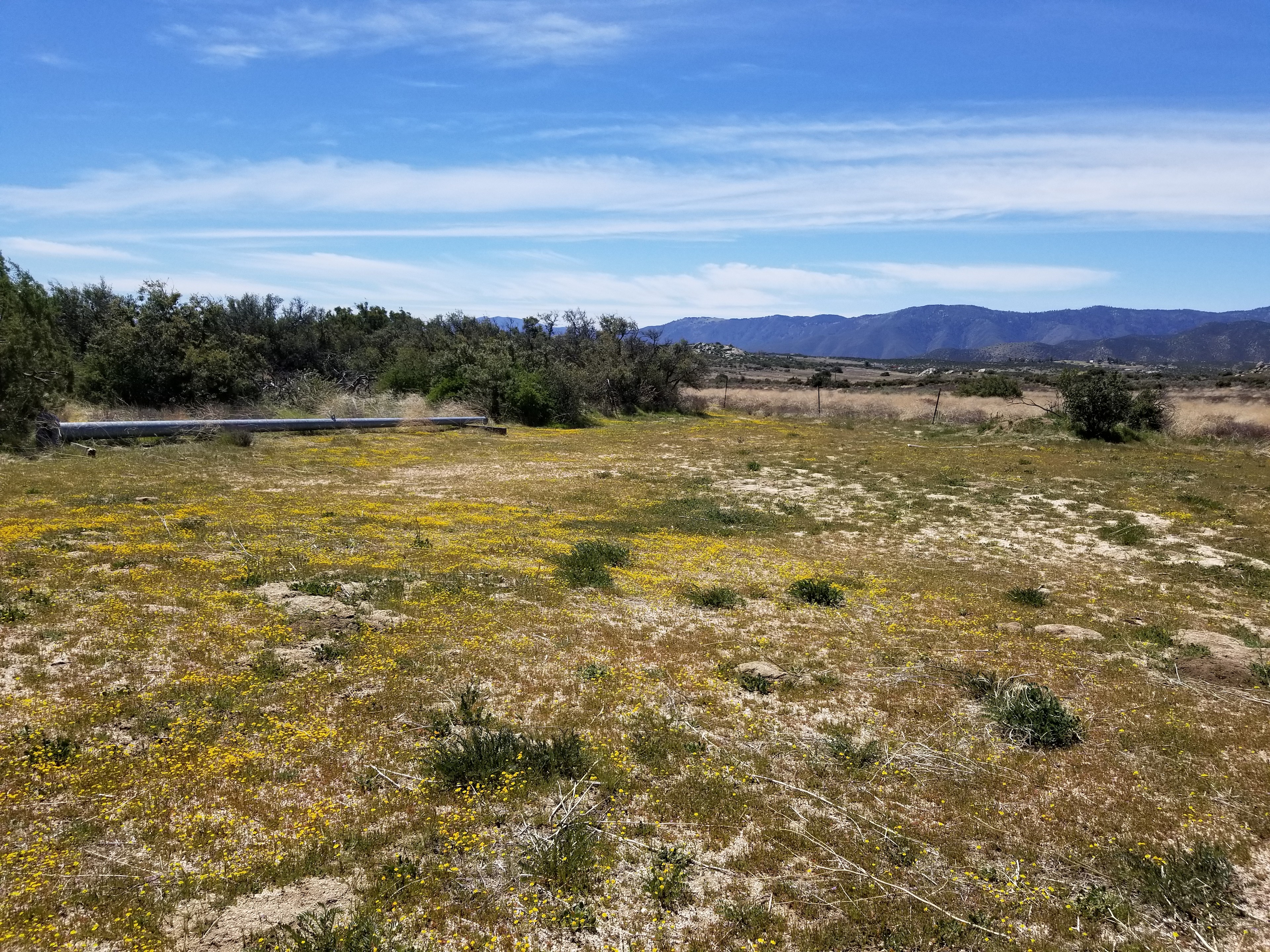 Montezuma Valley Campground