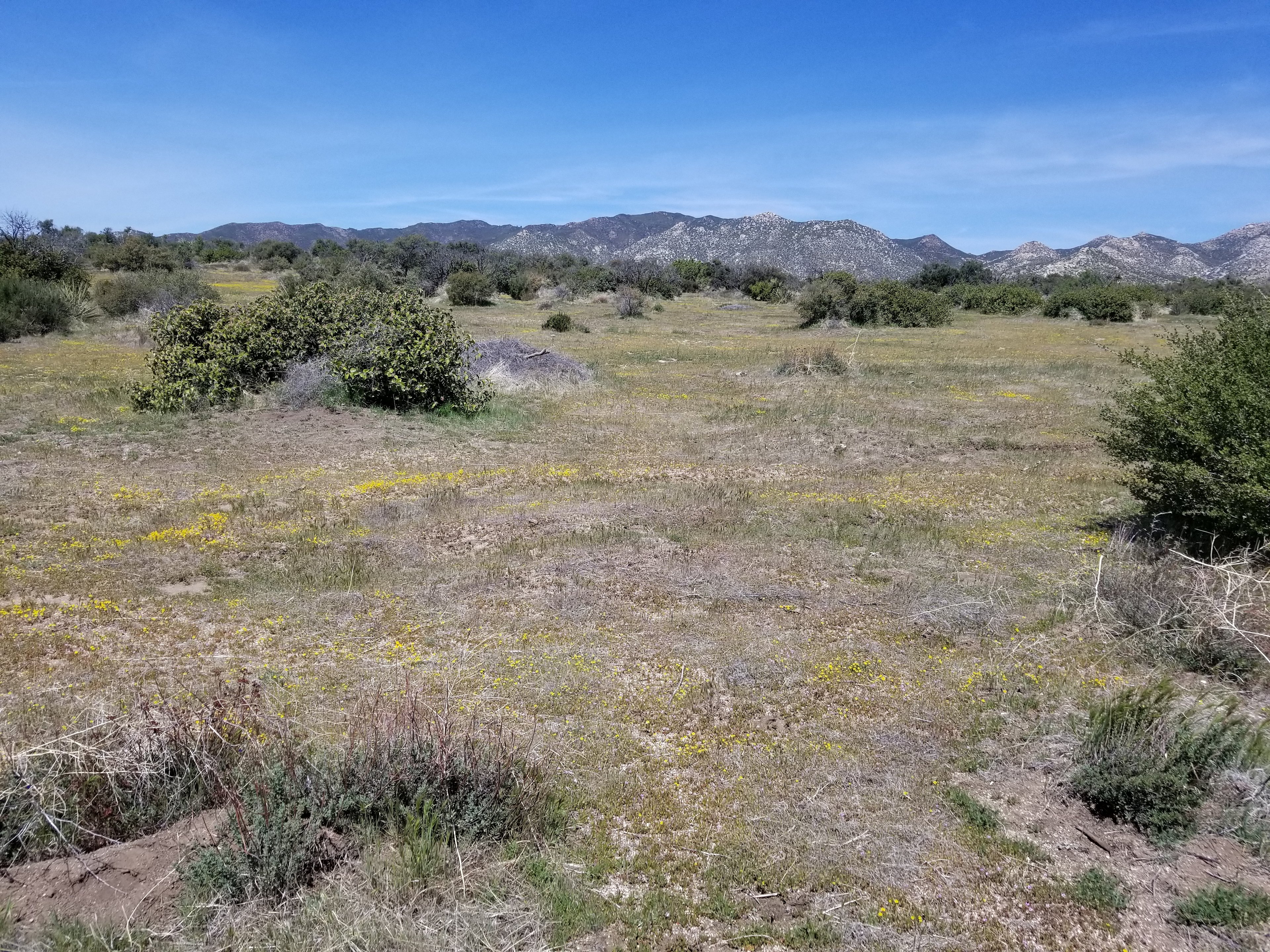Montezuma Valley Campground