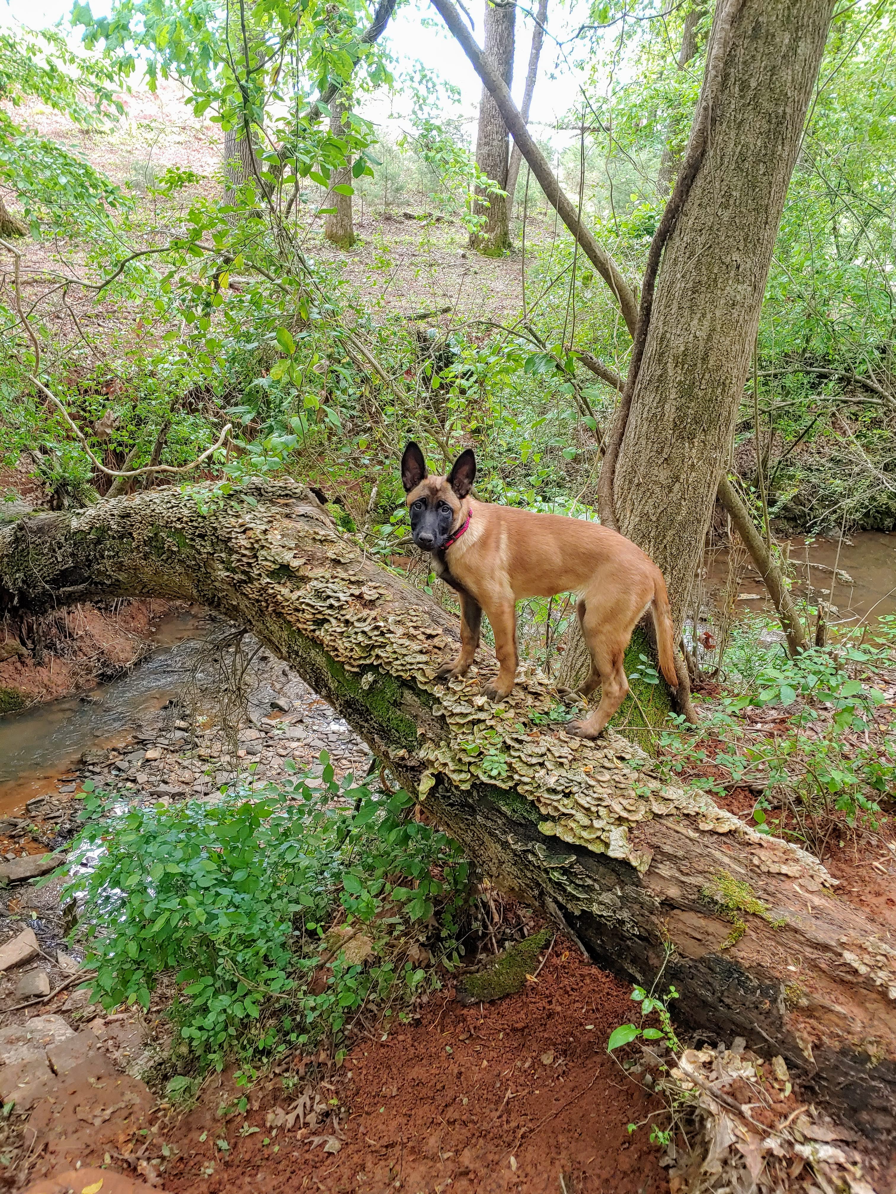 Slice of Walhalla (Heaven)