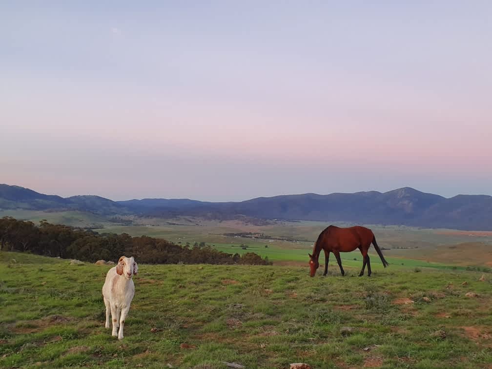 Michelago HILLDYKE 160 yr old farm
