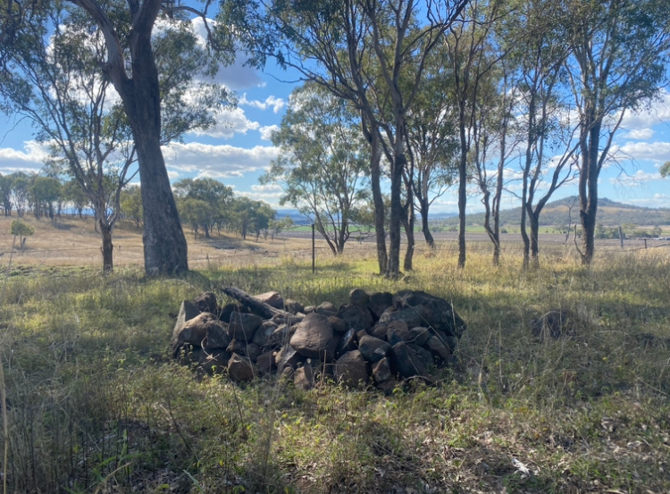Bunya Mountains View
