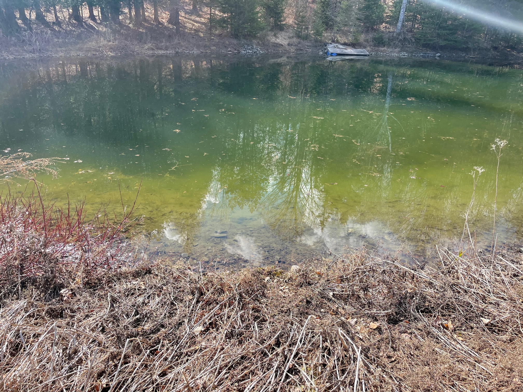 Saffron Farm Camping