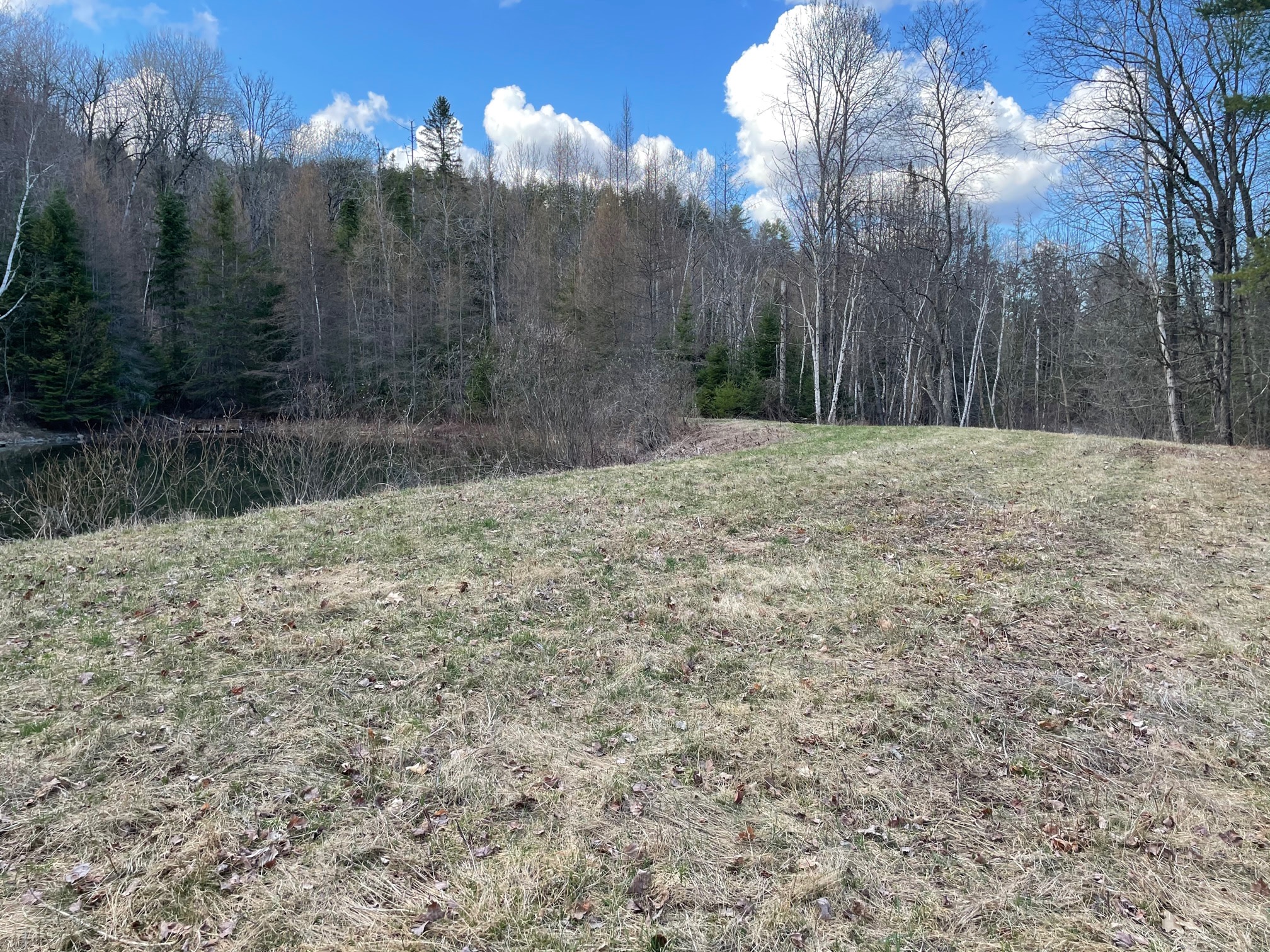 Saffron Farm Camping