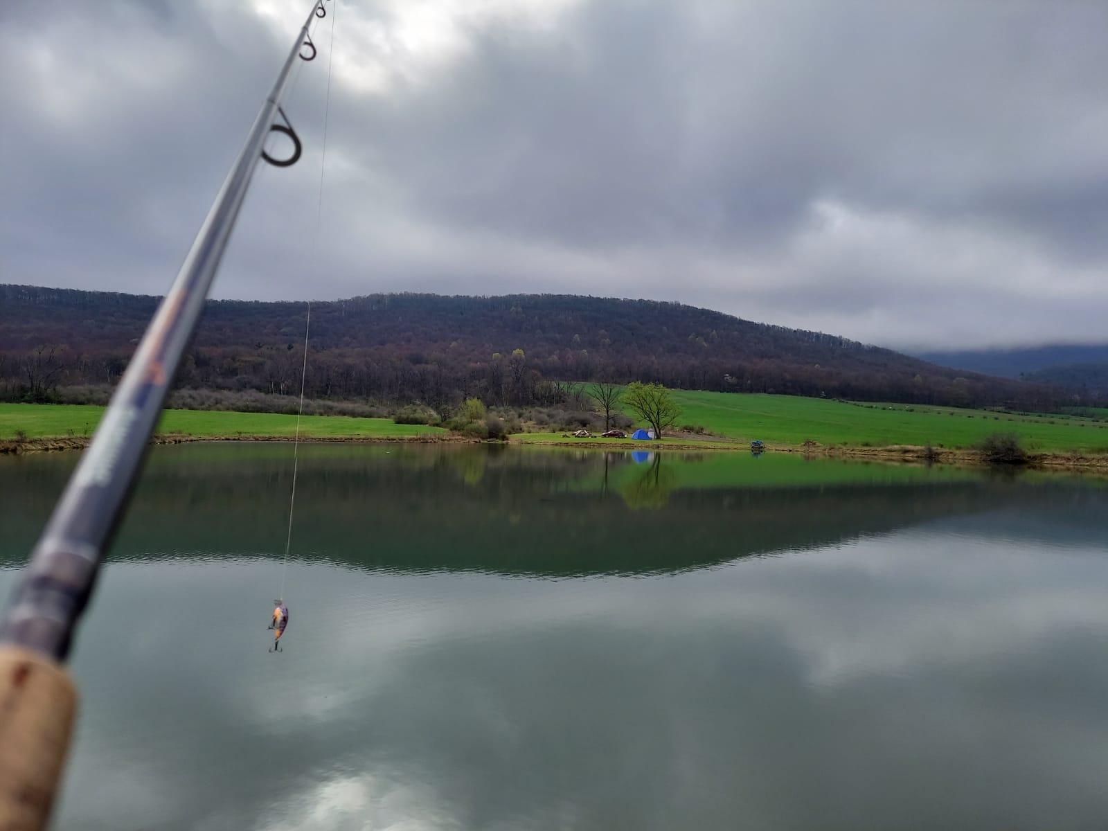 Paradise By The Pond