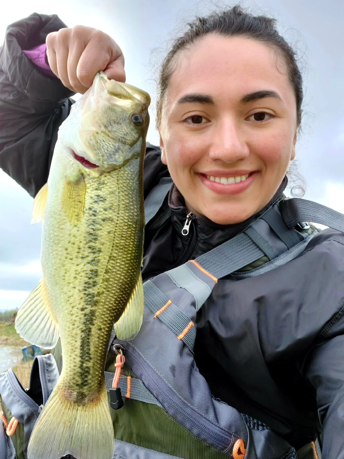 Paradise By The Pond